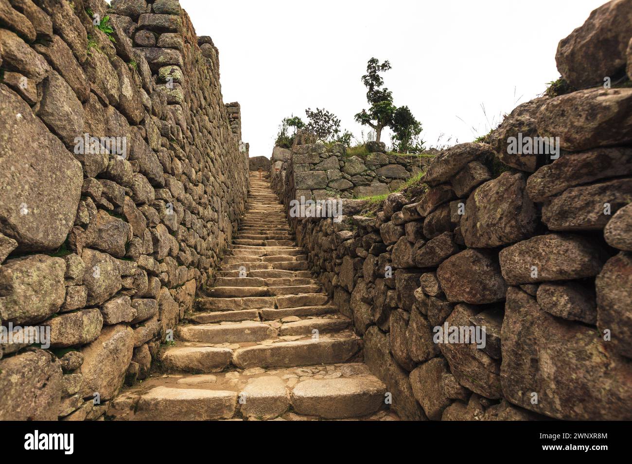 Stone stairs in the Inca citadel Machupicchu, Peru Stock Photo