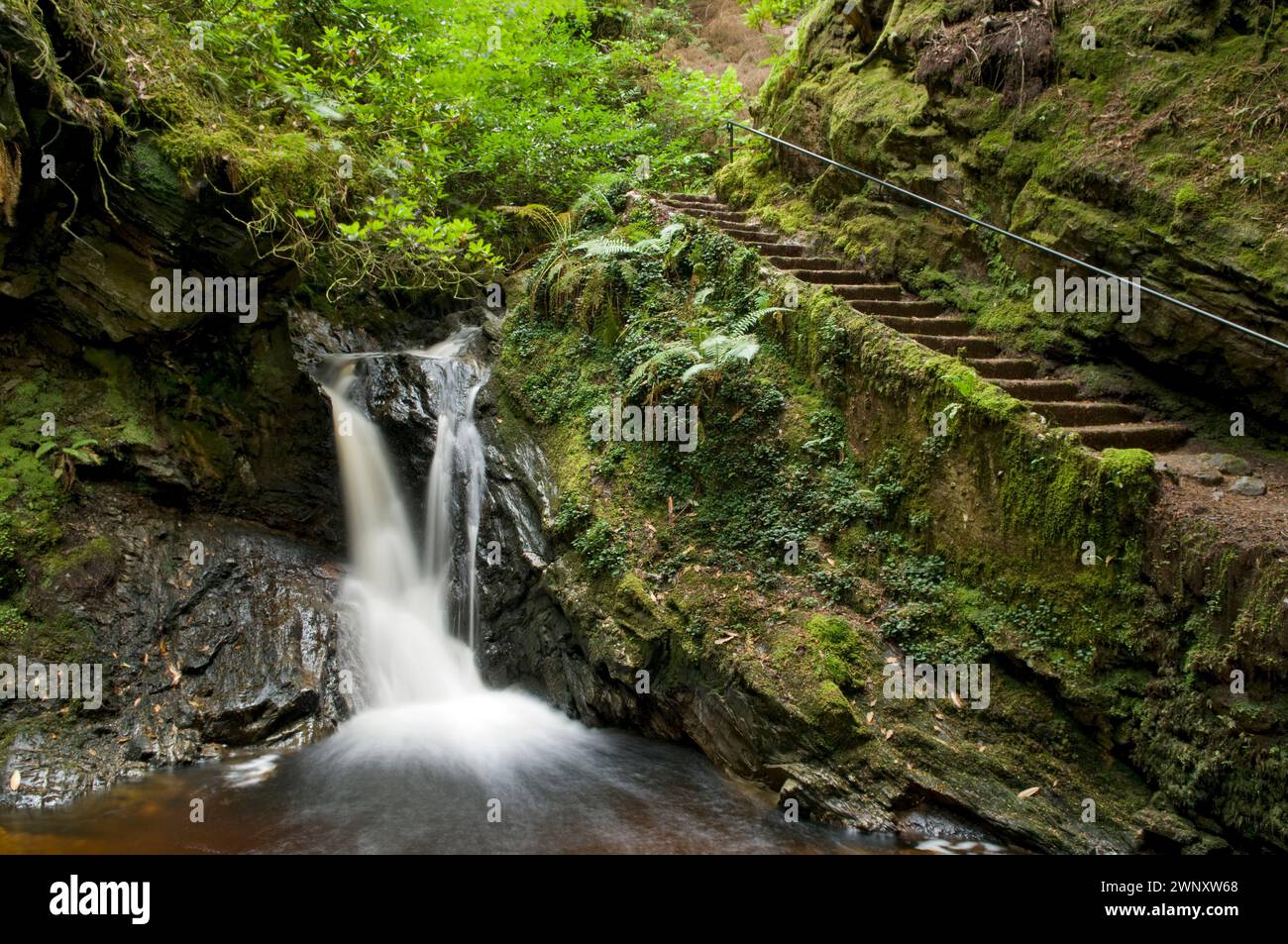 Waterfall at the magical Pucks Glen walk, Benmore in Argyll Forest Park, near Dunoon, on the Cowal peninsula, Scotland Stock Photo