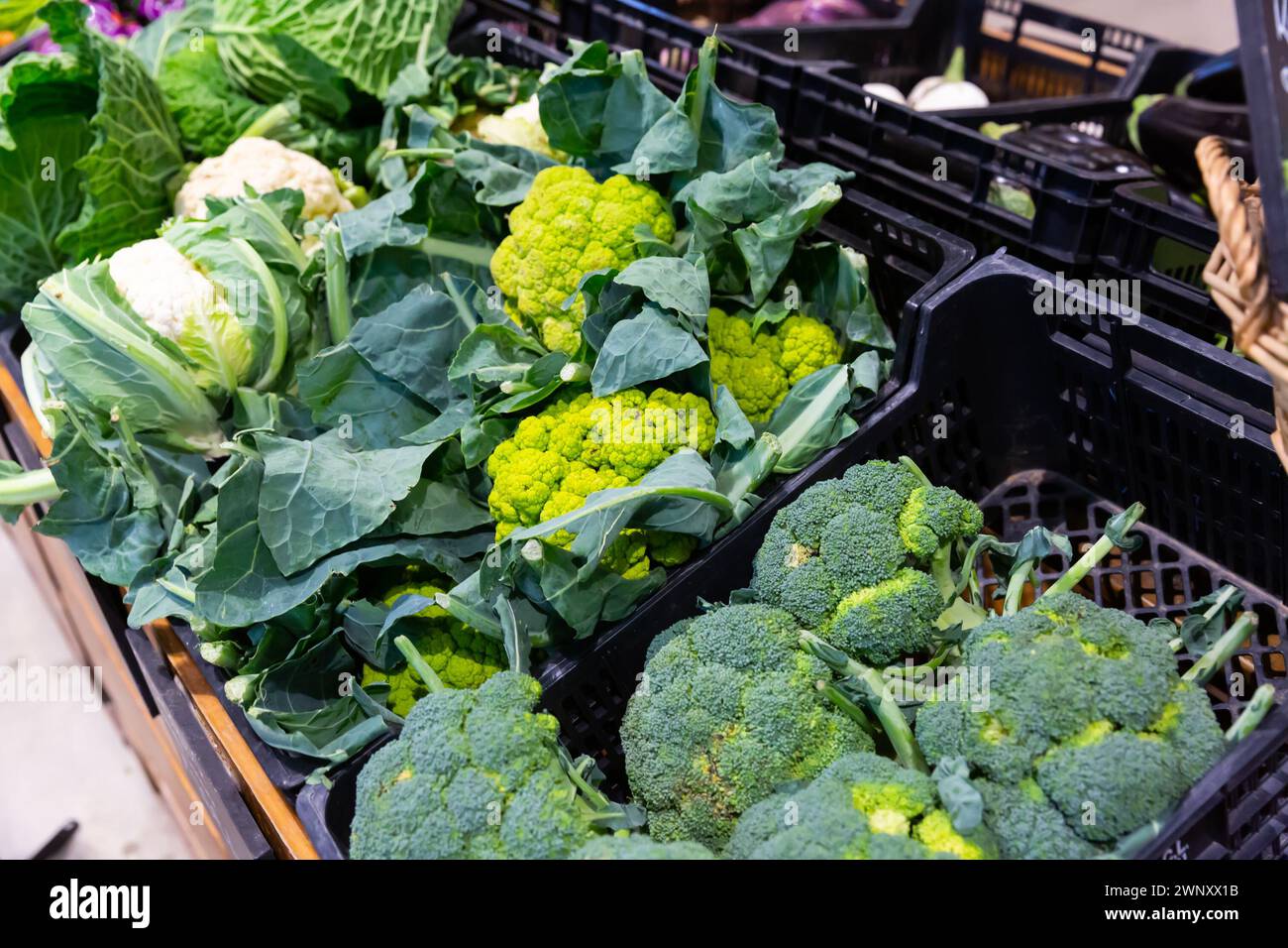 Cabbage, cauliflower, broccoli and broccoflower in greengrocery Stock ...
