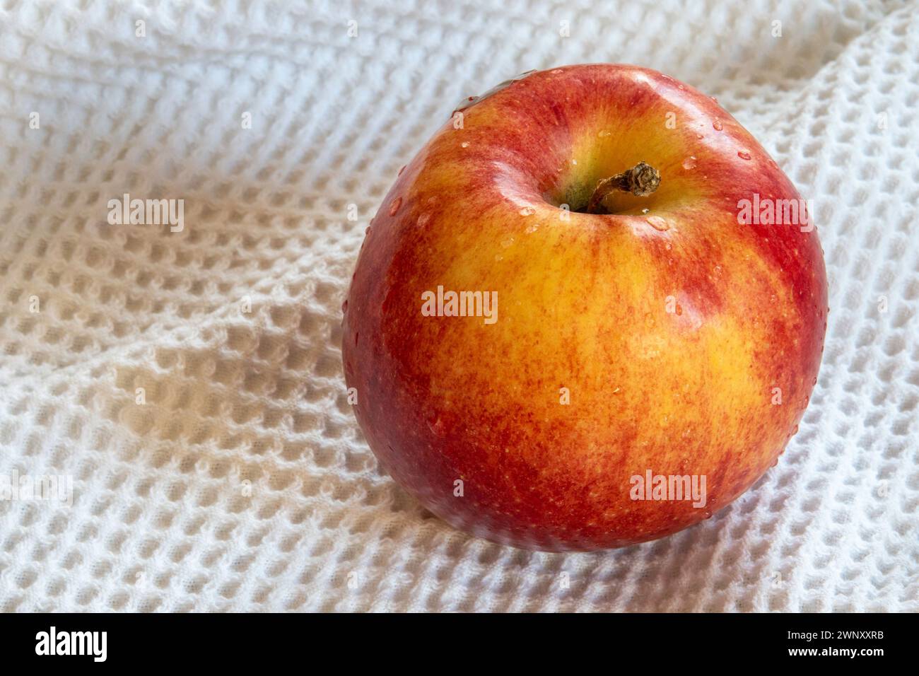 Envy Ripe Apple Stock Photo