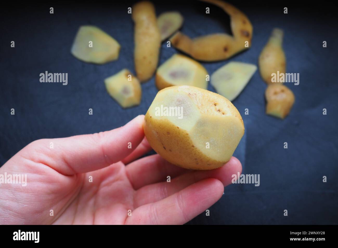 Fungal, viral or bacterial infection of the potato tuber. Dark spots