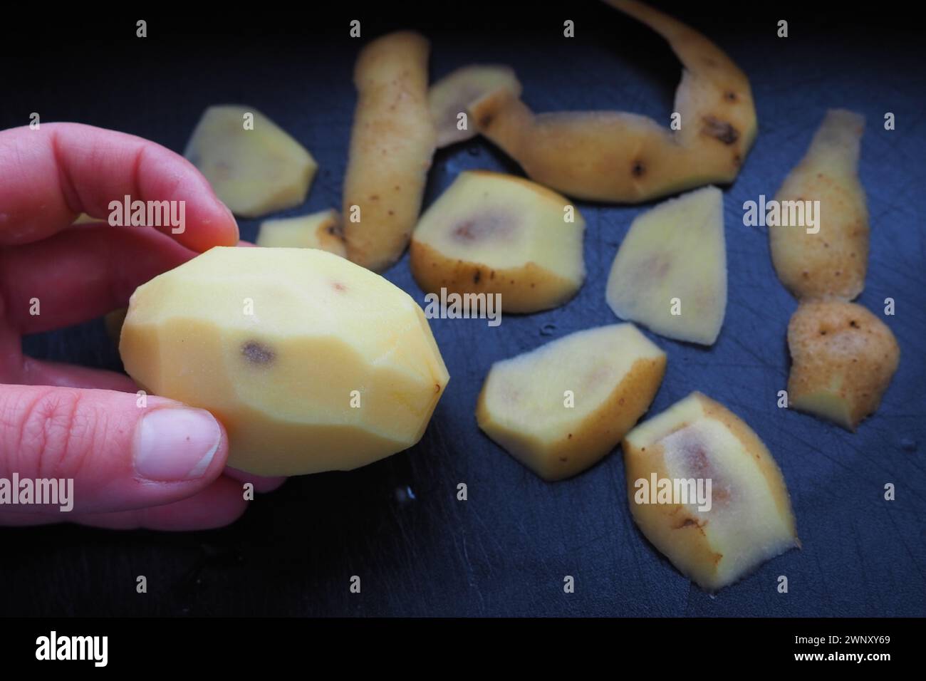 Fungal, viral or bacterial infection of the potato tuber. Dark spots inside the potato. Peeled raw potato with spots and a hole in a woman's hand Stock Photo