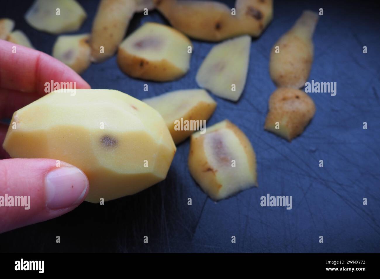 Fungal, viral or bacterial infection of the potato tuber. Dark spots