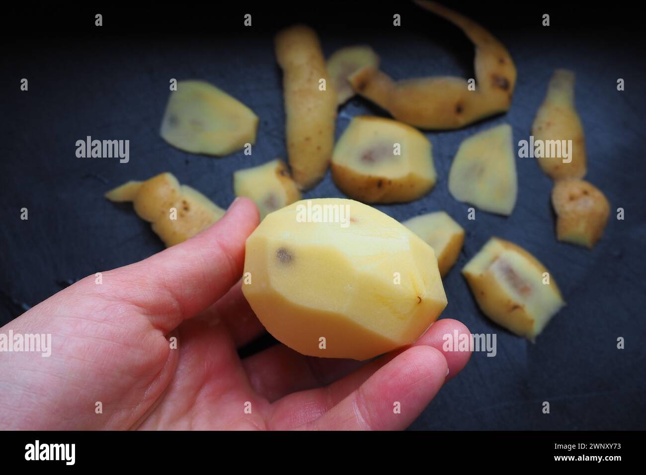 Fungal, viral or bacterial infection of the potato tuber. Dark spots