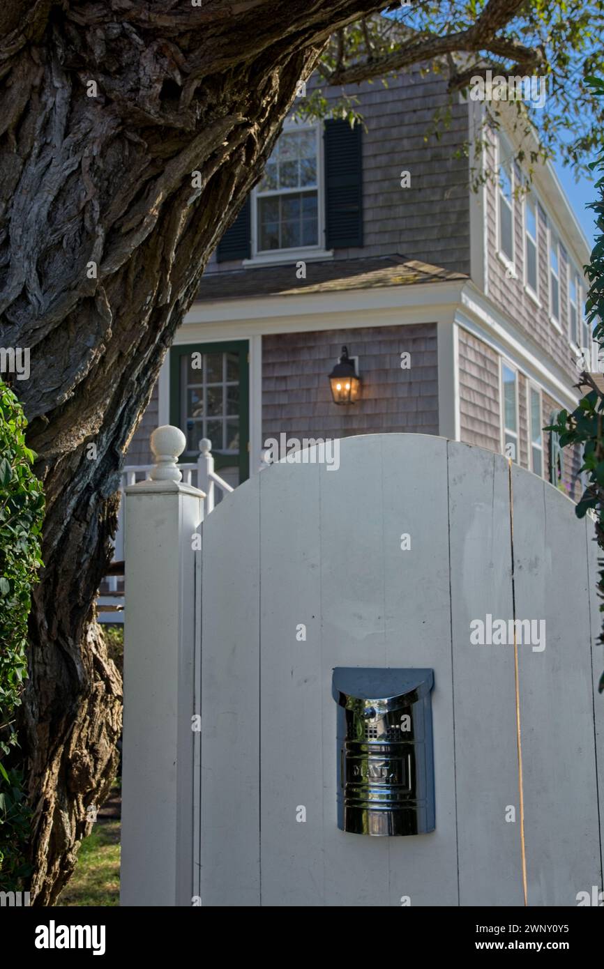 White gate with chrome mailbox, gnarled tree before colonial style Cape Cod home Stock Photo Alamy