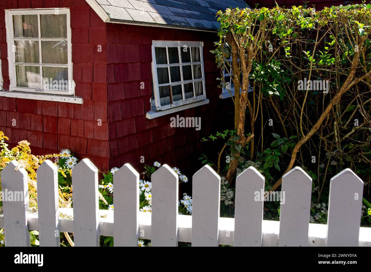 Brightly lit white picket fence before red weathered colonial style