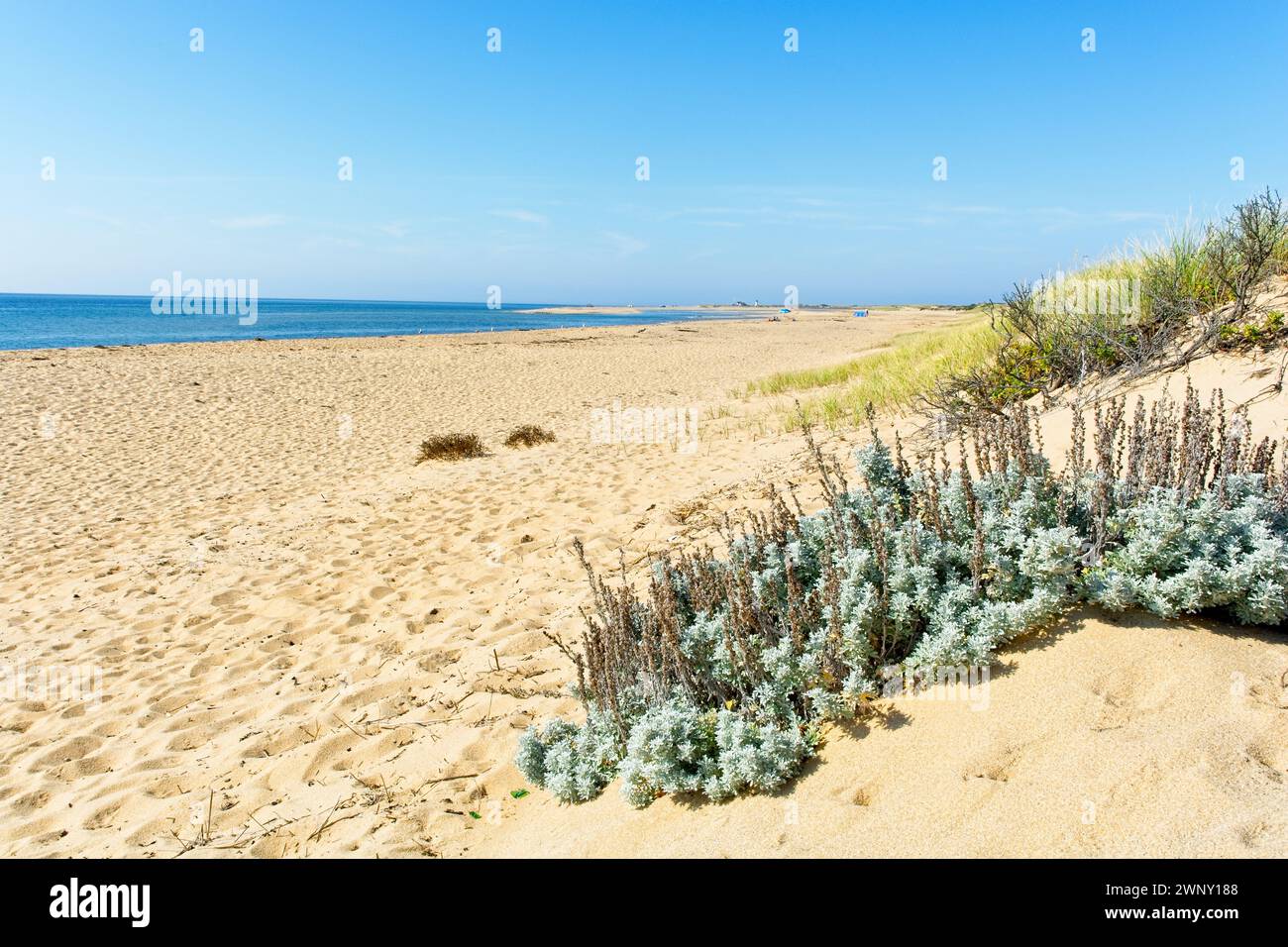 Bluff provincetown hi-res stock photography and images - Alamy