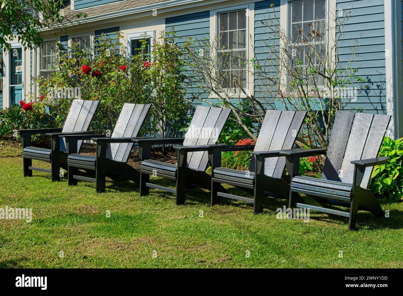 Row of black Adirondack chairs line front yard of colonial style cape