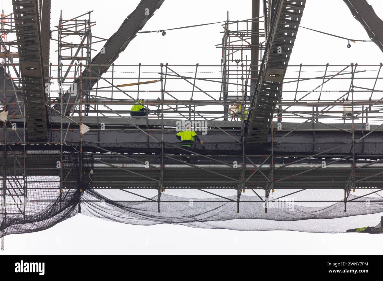 Men working on the Sydney Harbour Bridge wearing hives shirts and