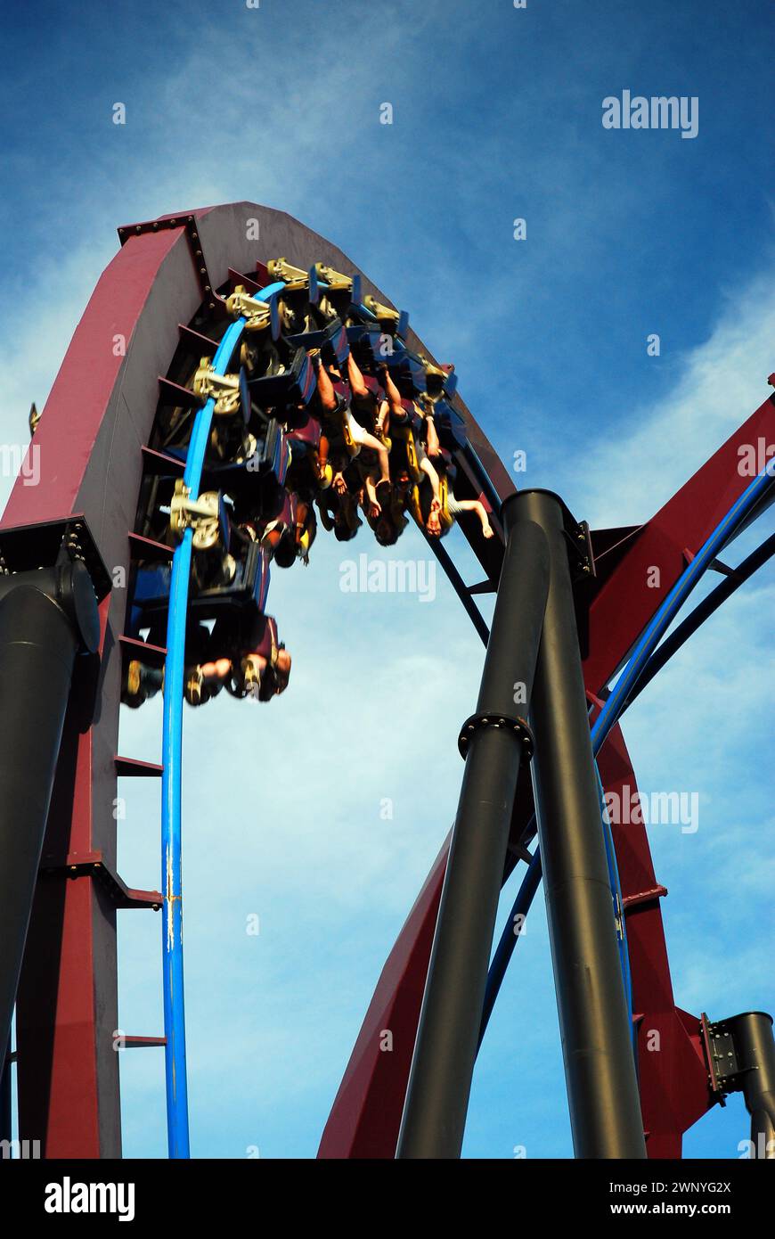 Thrill riders are inverted on an extreme looping roller coaster Stock Photo