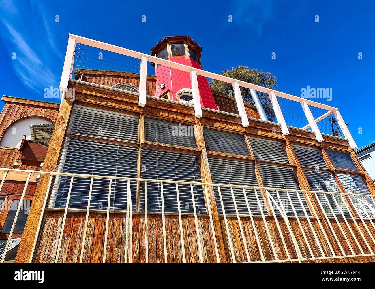 Opossum Bay, Tasmania, Australia 14 March 2019 Upward glance at a