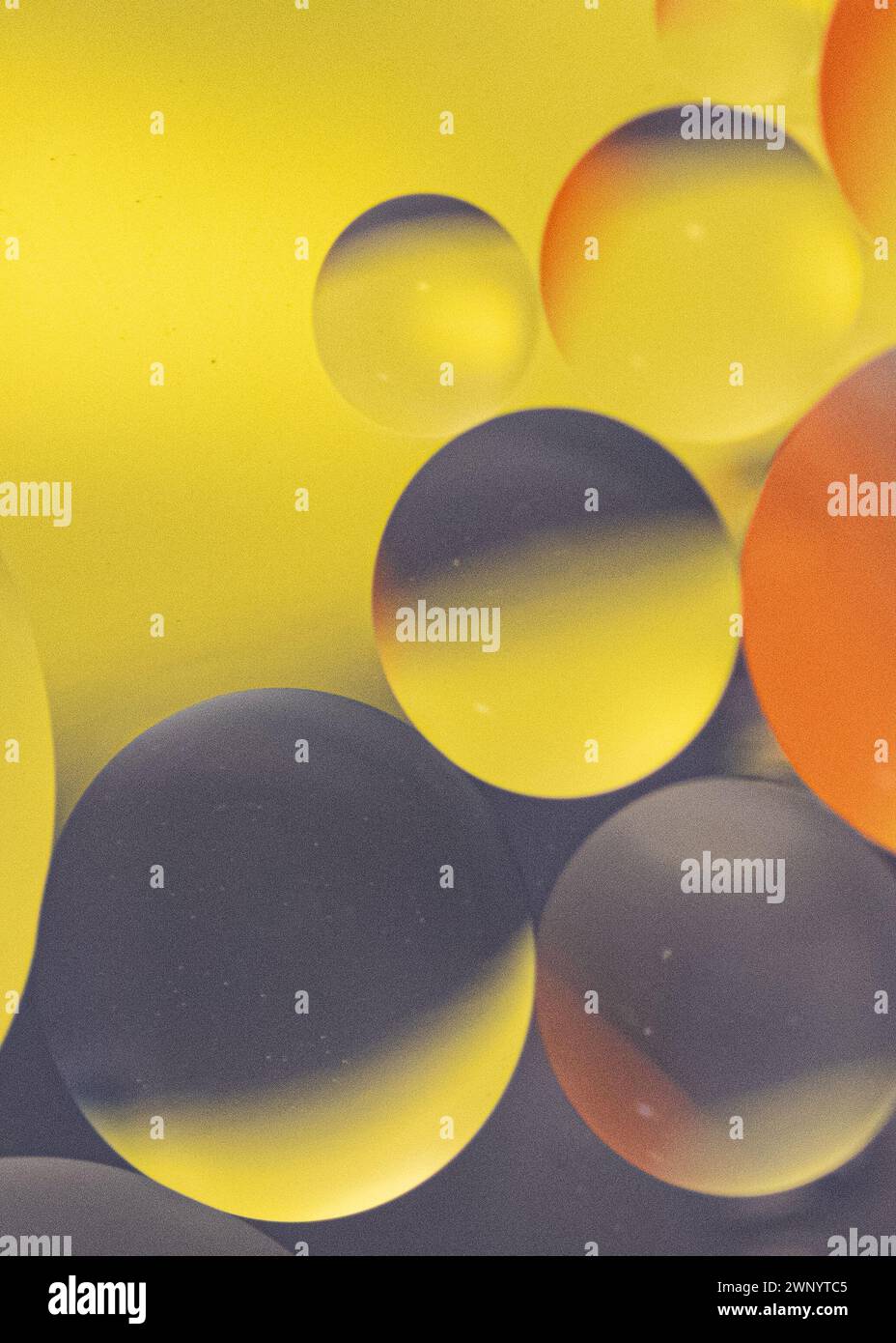 Oil droplets in water reflecting yellow, grey , and orange background Stock Photo