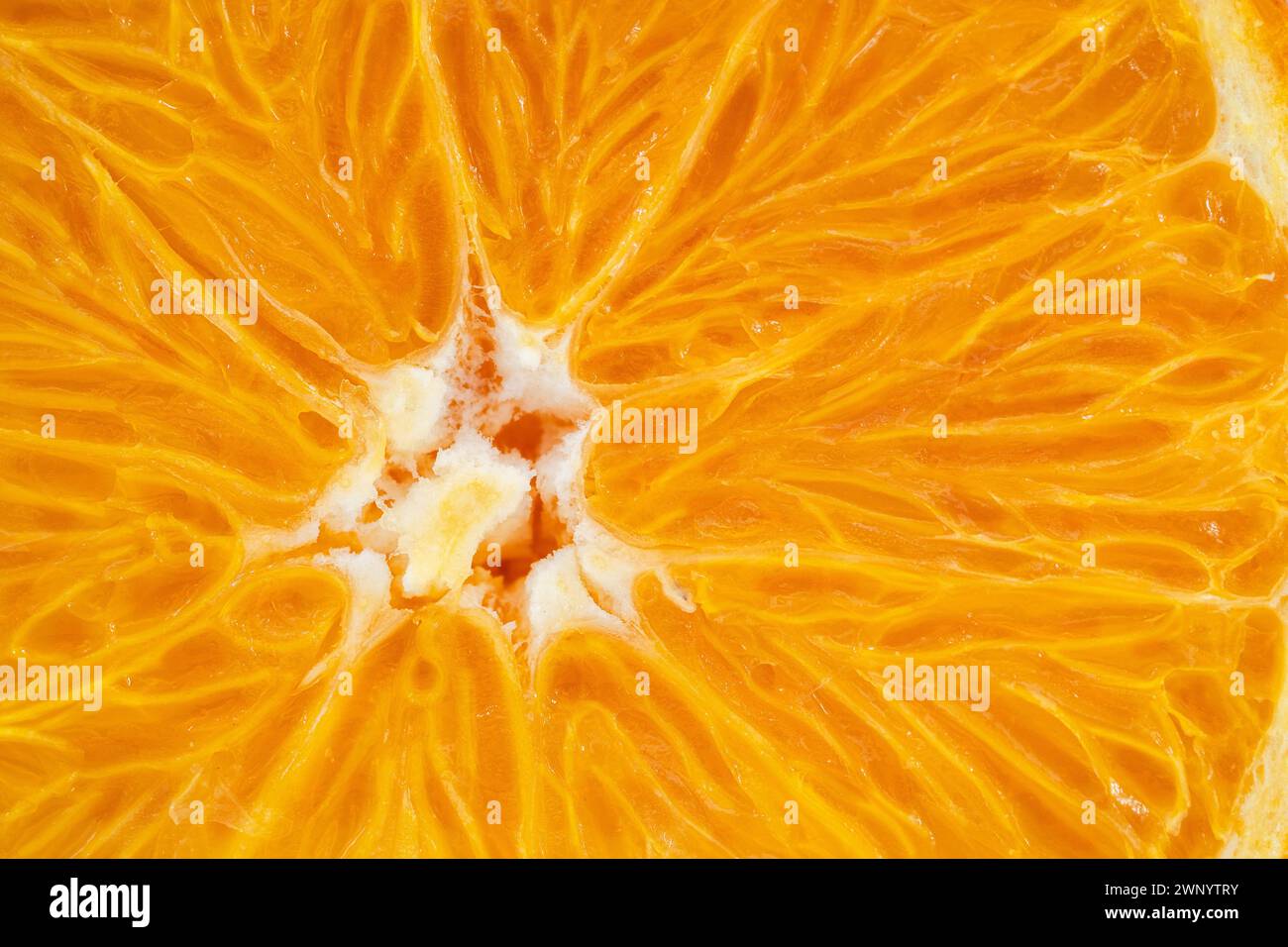 Close up orange fruit in hi-res stock photography and images - Alamy