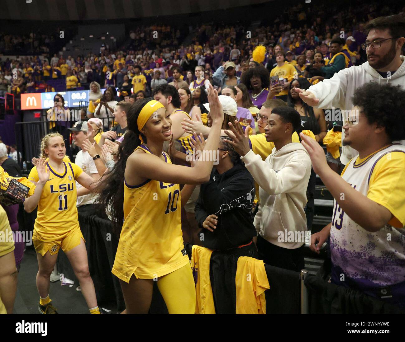 Baton Rouge, USA. 03rd Mar, 2024. LSU Lady Tigers LSU Lady Tigers guard Hailey Van Lith (11) and forward Angel Reese (10) give high fives to the fans in the student section during the conclusion of their 77-56 victory over the Kentucky Wildcats in a Southeastern Conference women's college basketball game at Pete Maravich Assembly Center in Baton Rouge, Louisiana on Sunday, March 3, 2023. (Photo by Peter G. Forest/Sipa USA) Credit: Sipa USA/Alamy Live News Stock Photo