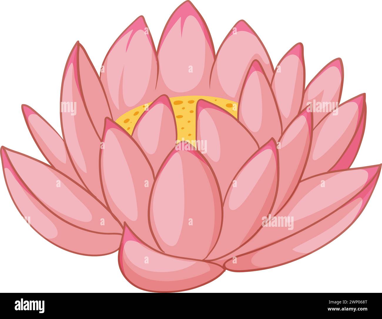 Vector graphic of a blooming pink lotus flower Stock Vector Image & Art ...