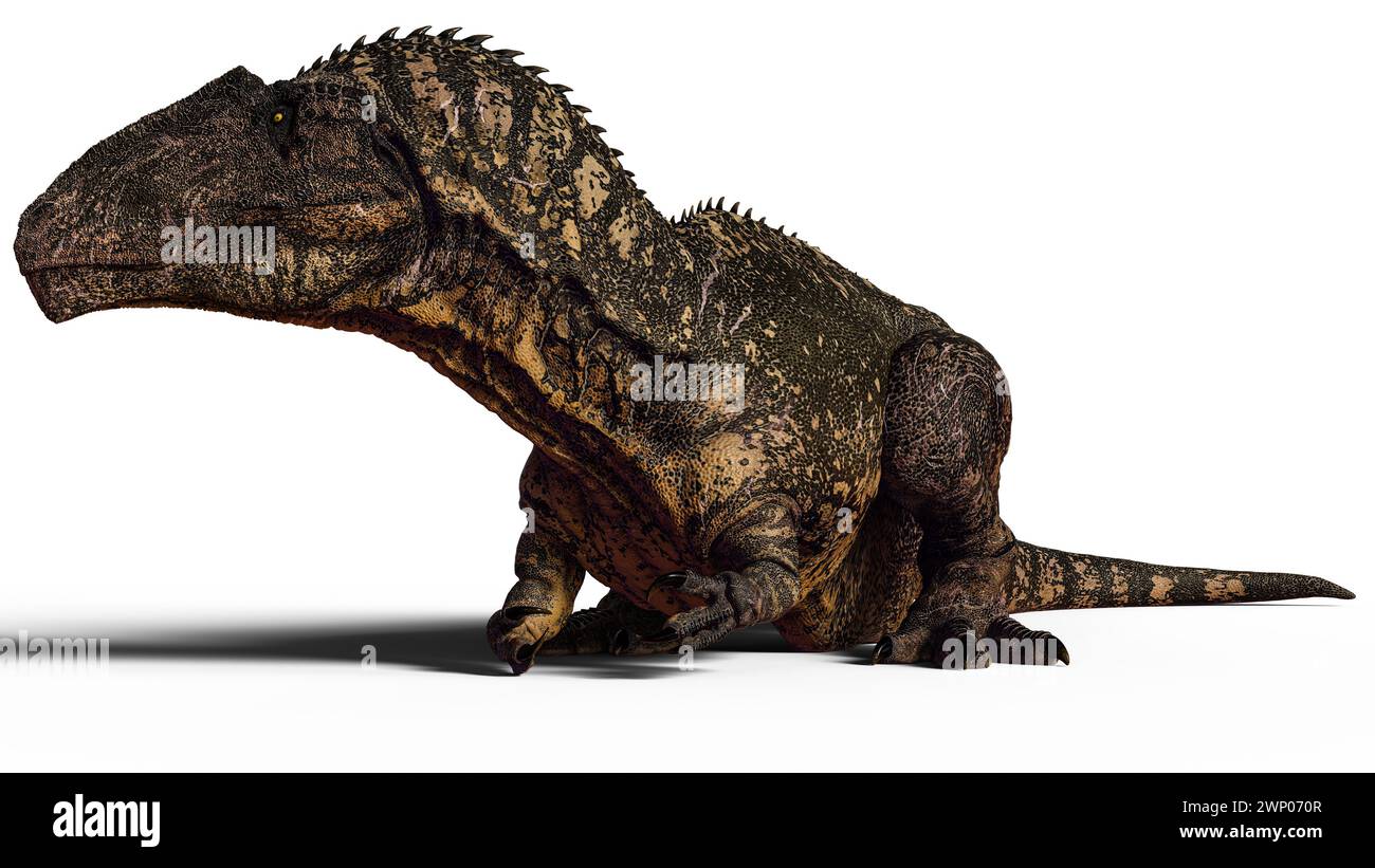 Gigantosaurus is a dubious genus of sauropod dinosaur from the Late ...