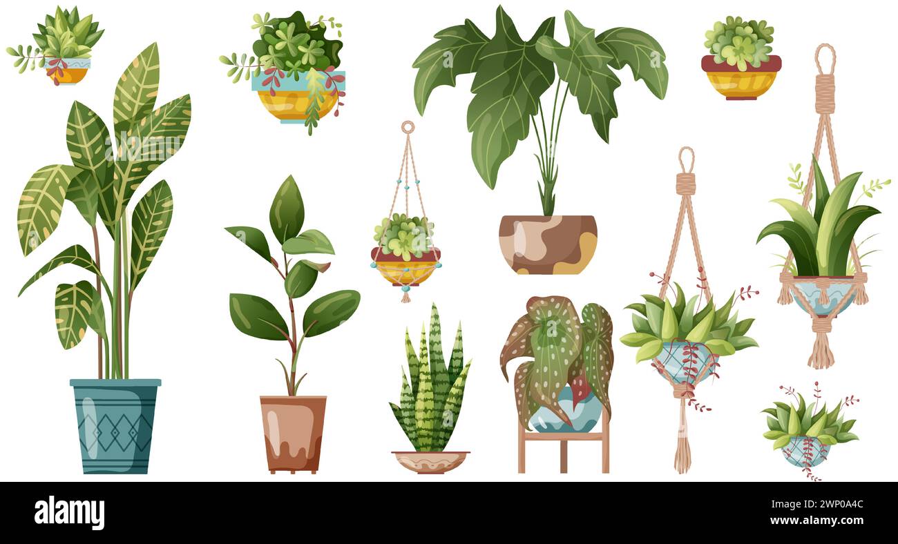 Houseplant and macrame plant growing in pots. Set of handmade home ...