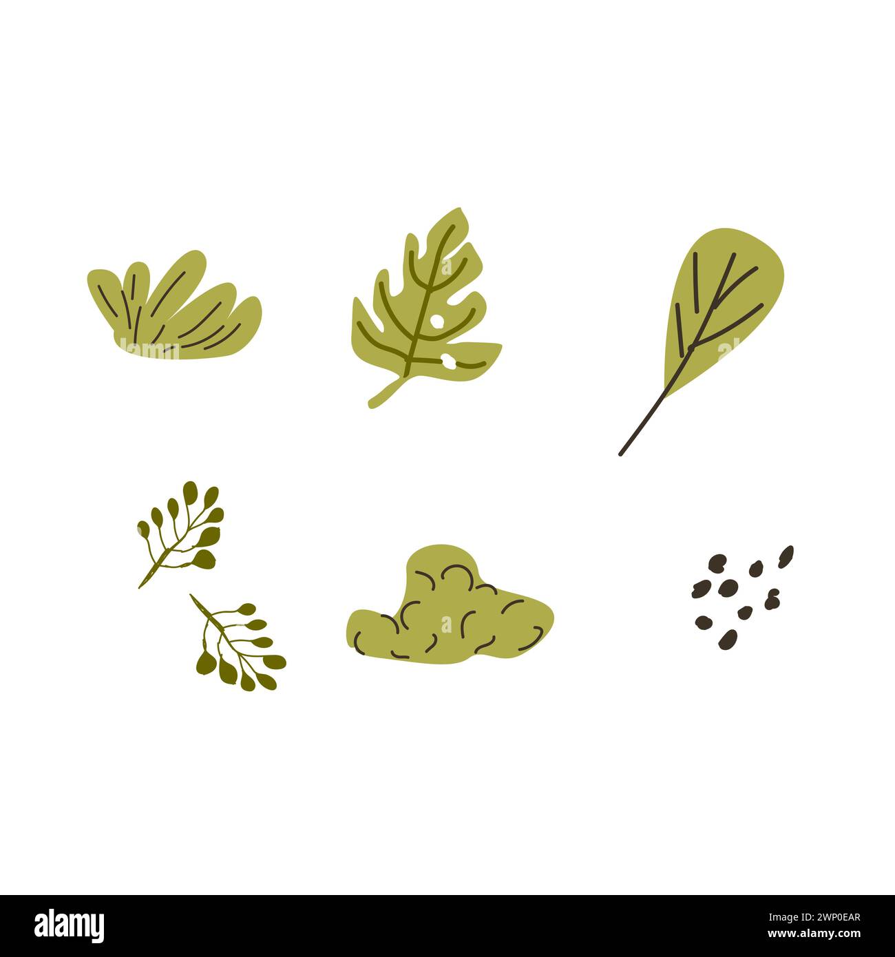 Set of Hand drawn floral elements tropical leaves. Vector illustration ...