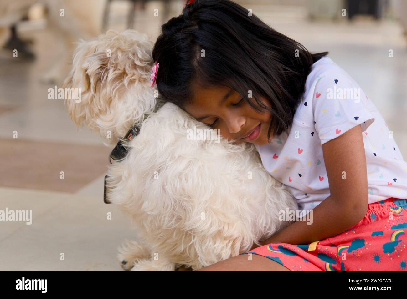 An adorable image of a young girl sitting on the floor, hugging her ...
