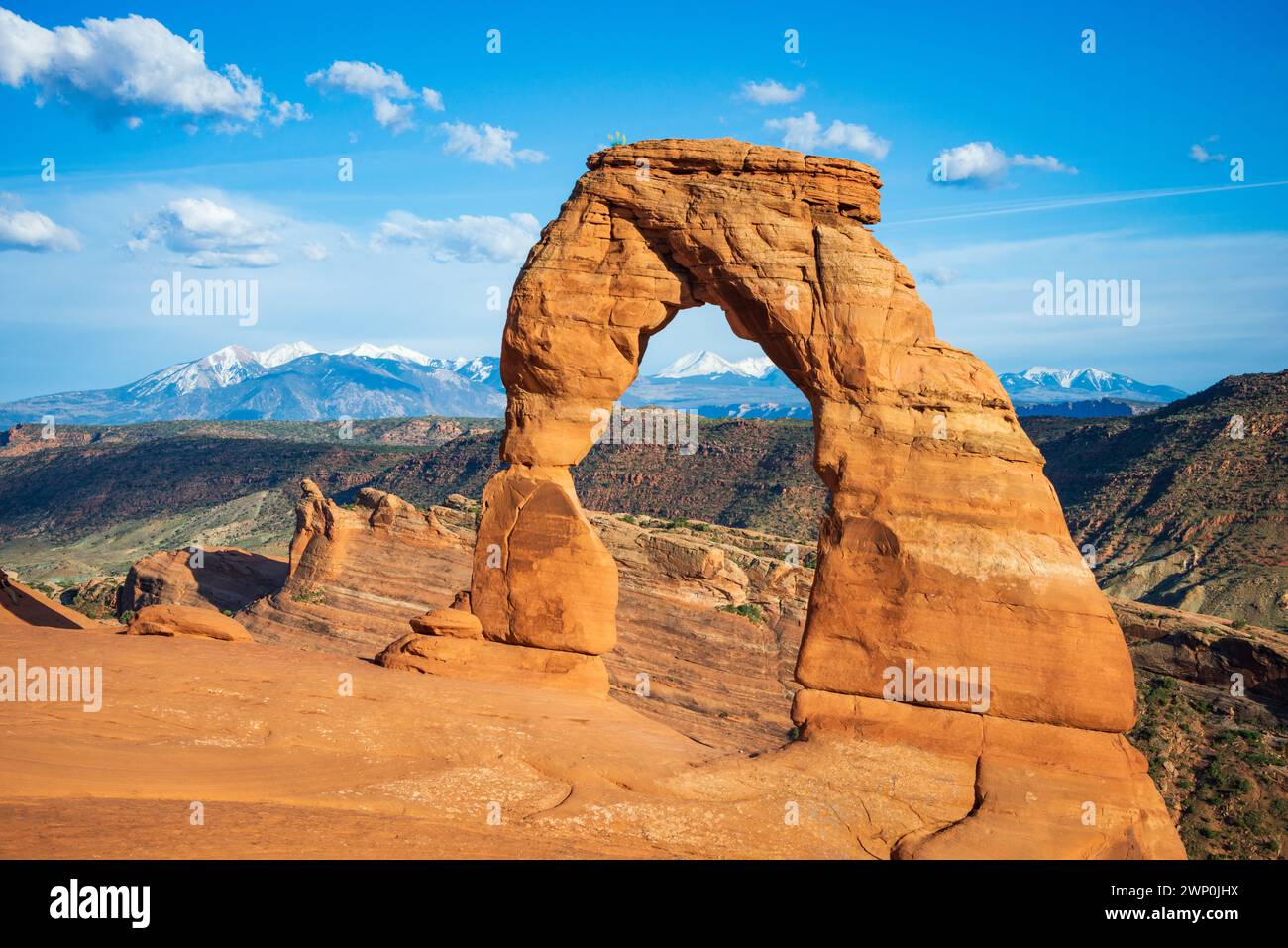 Delicate sculptures hi-res stock photography and images - Alamy