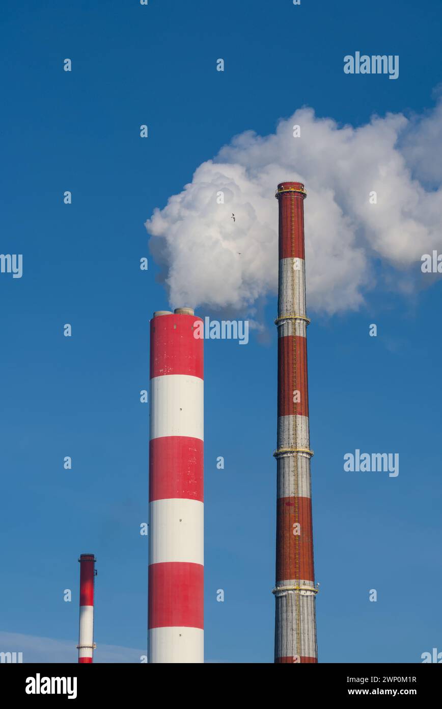 birds flying around smoke from power plant chimneys vertical shot Stock Photo