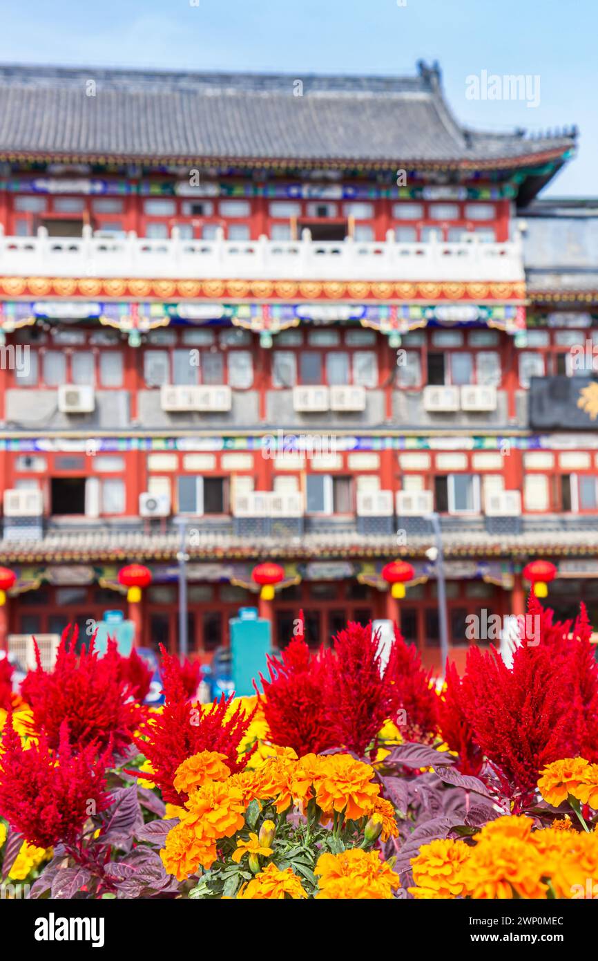 Flowers on the evacuation square in Yangliuqing town in Tianjin, China Stock Photo