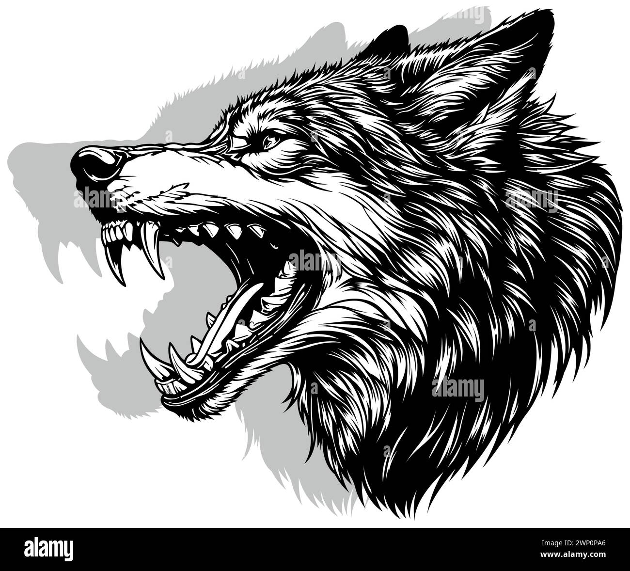 Drawing of a Wolfs Head with its Teeth Bared Stock Vector