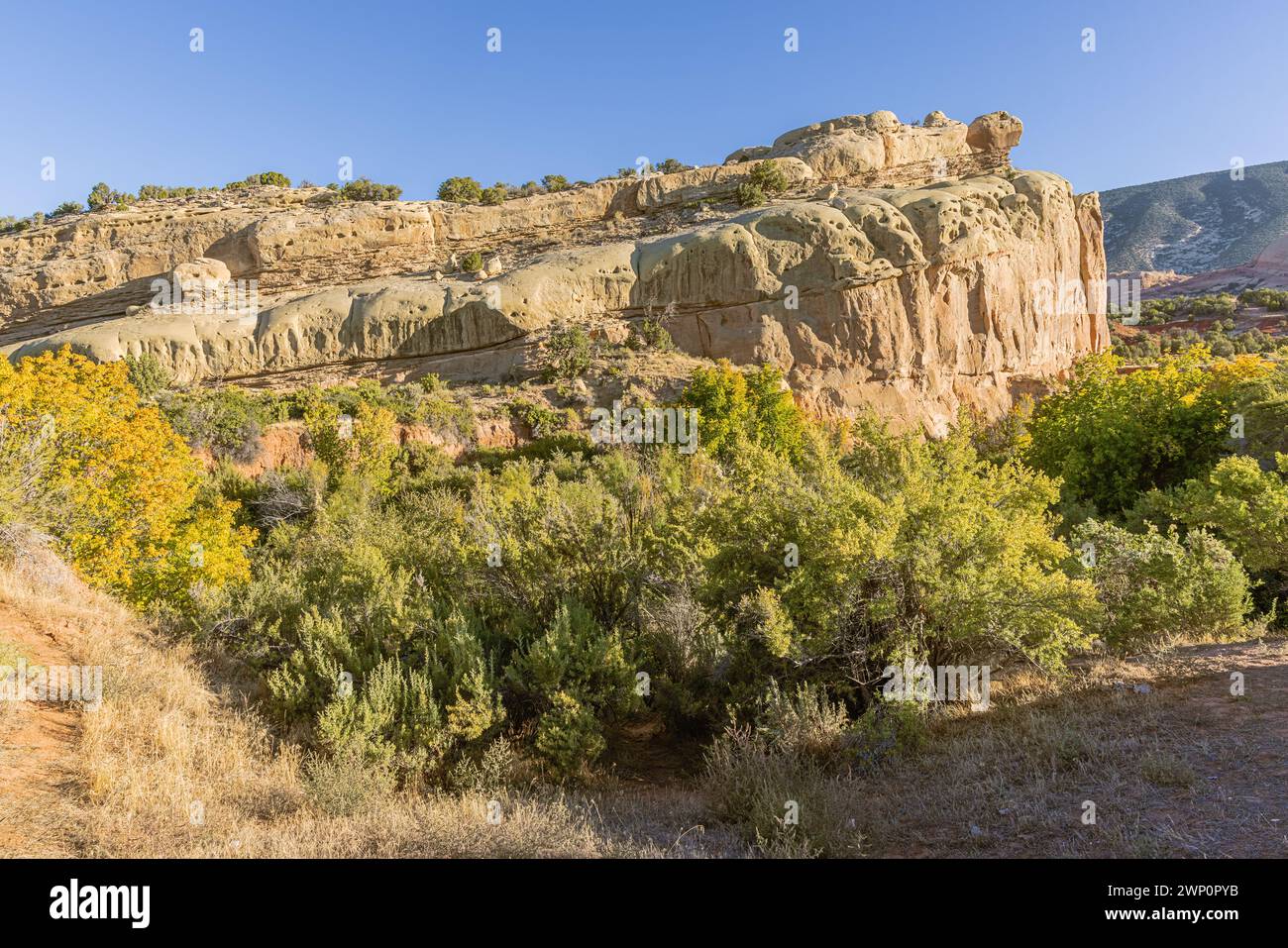 View of Turtle Rock next to Cub Creek Road in the Dinosaur National Monument Stock Photo