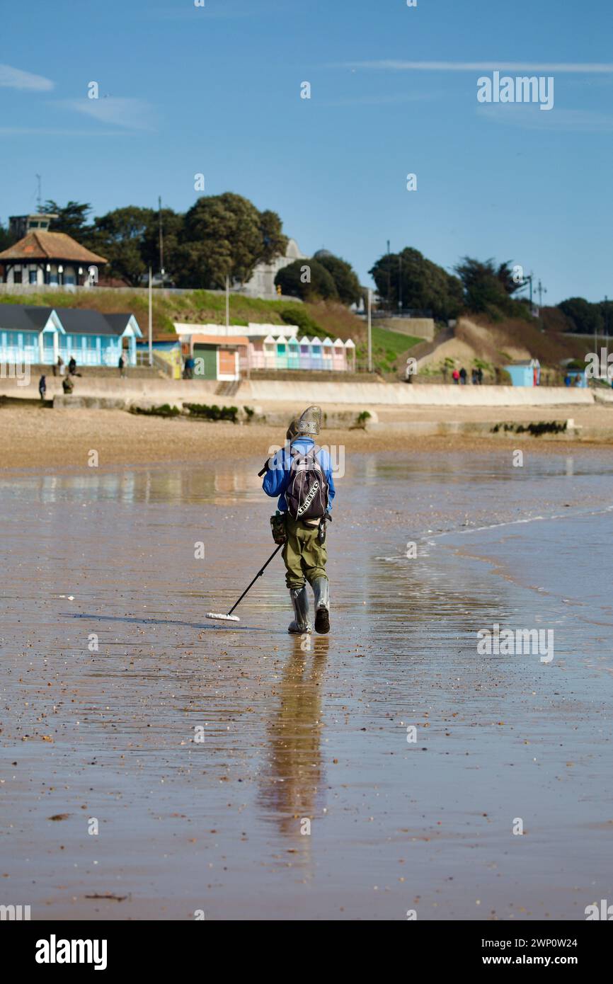 Metal detectorist on the beach at Clacton on Sea Stock Photo Alamy