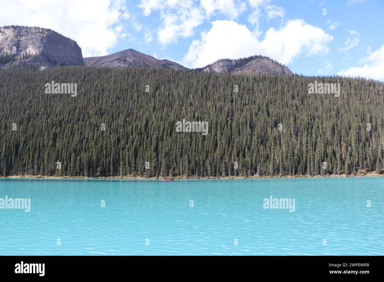 A clean and clear picture of the evergreen forest trees with aqua blue water and mountains, clouds and blue sky in the background Stock Photo