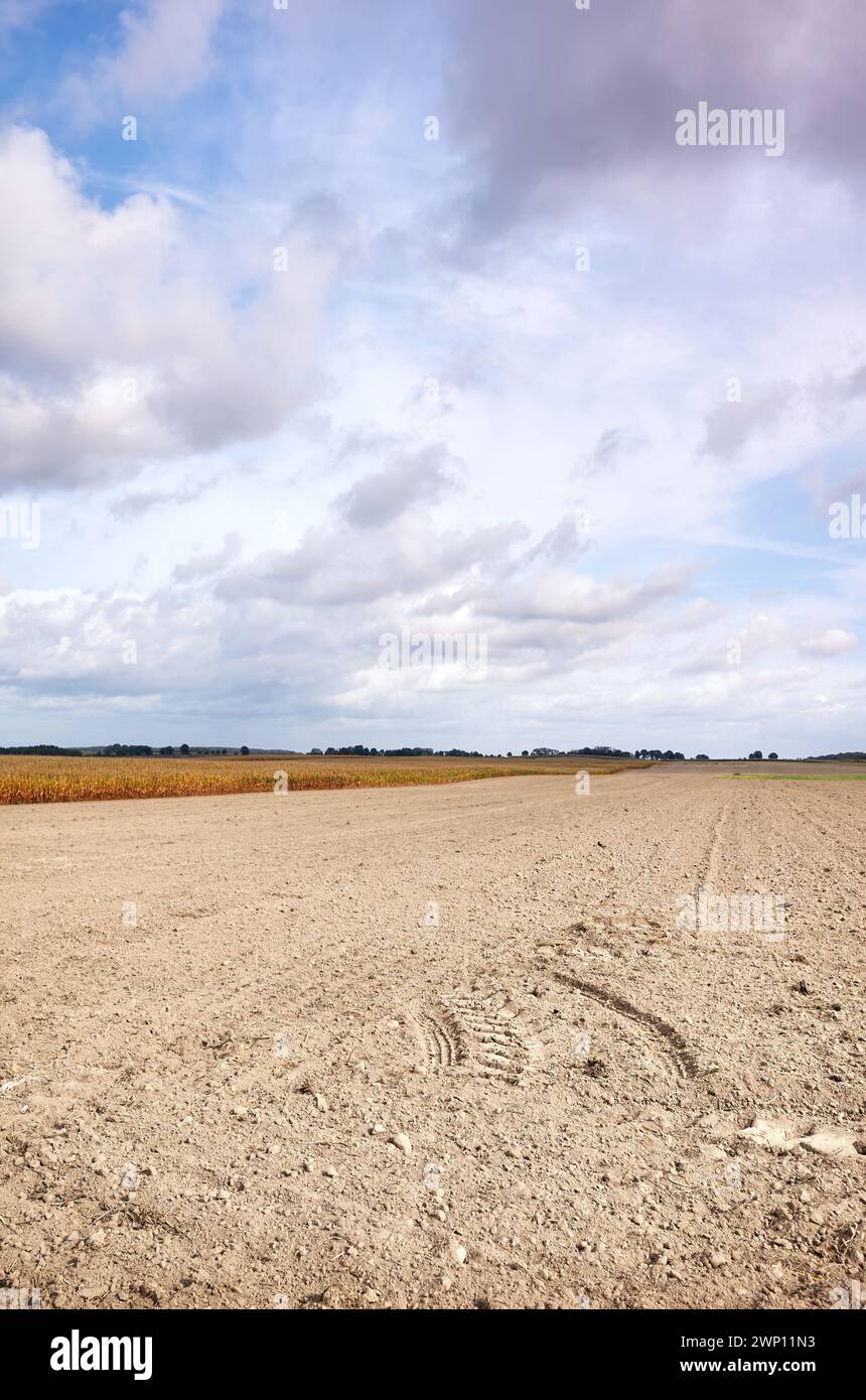 Field cultivated land hi-res stock photography and images - Alamy