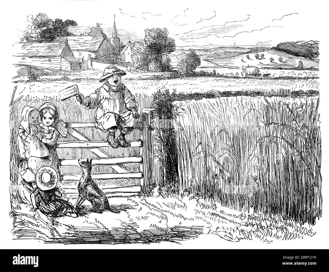 An English Gold Field, political cartoon showing country life, boy scaring birds from field of corn Stock Photo