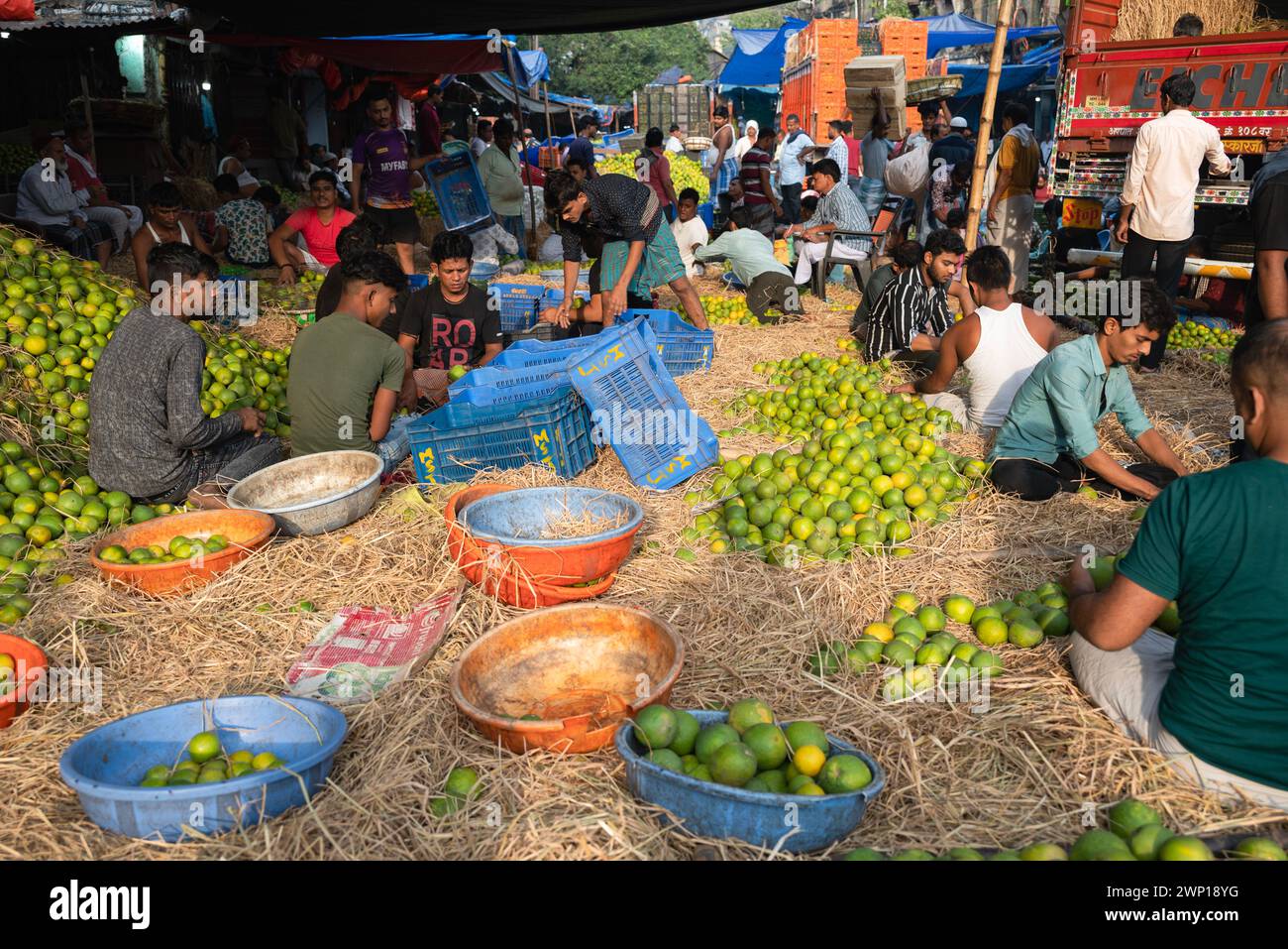 Kolkata fruit market Stock Photo Alamy
