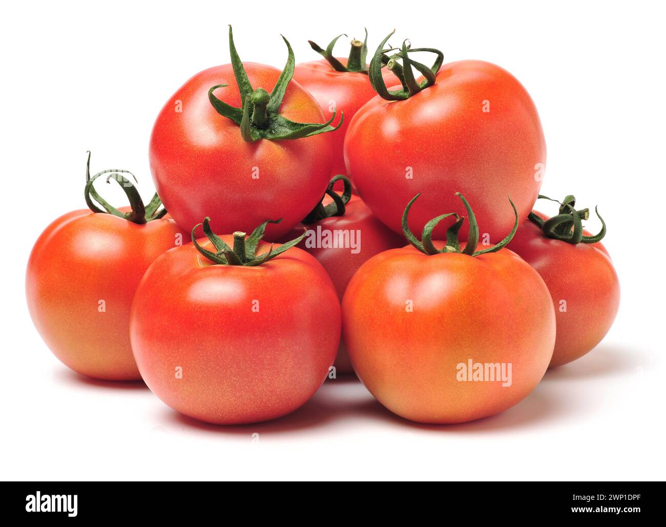 fresh tomatoes on white background Stock Photo - Alamy