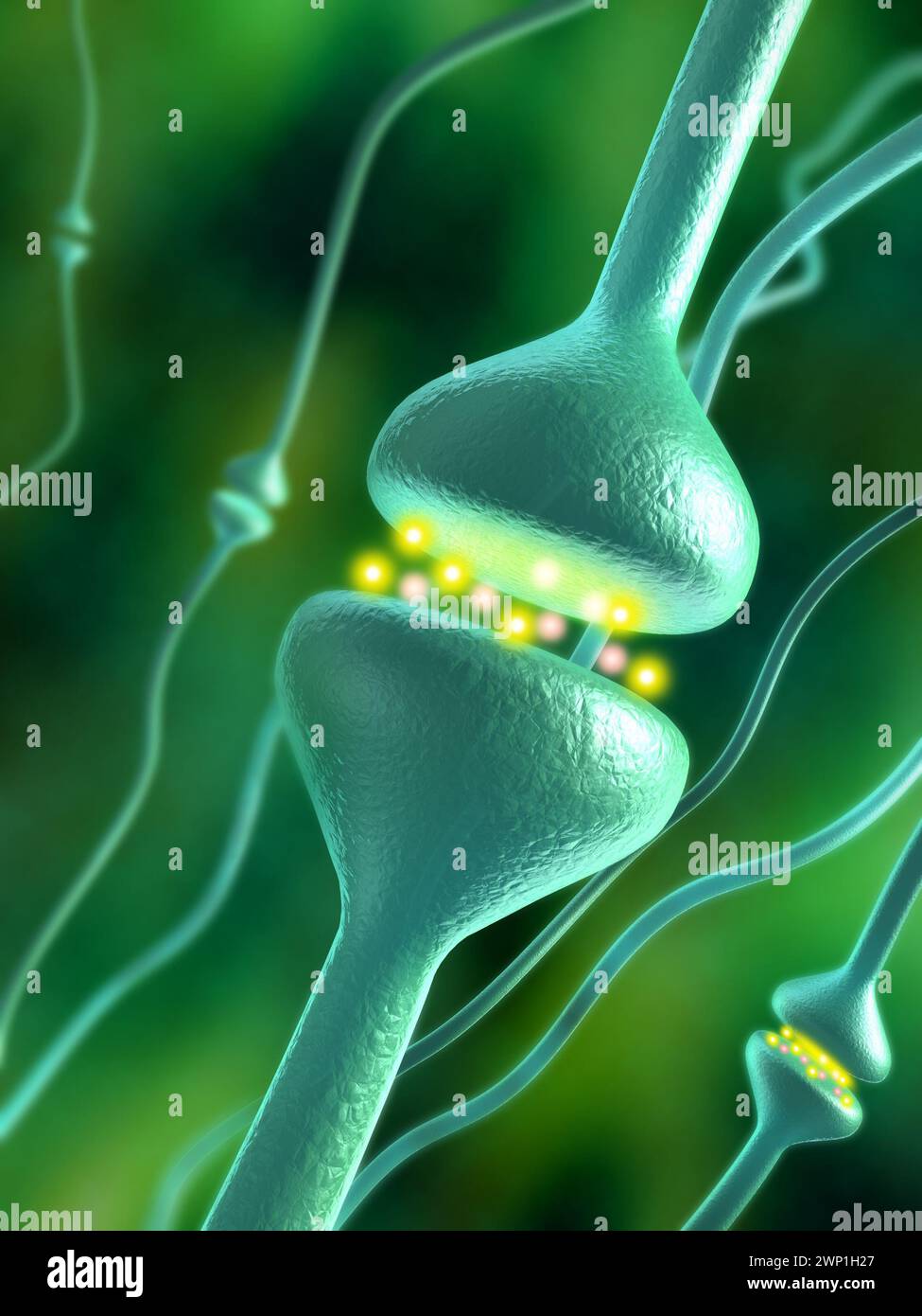 Activated chemical synapses in human brain. Digital illustration. Stock Photo
