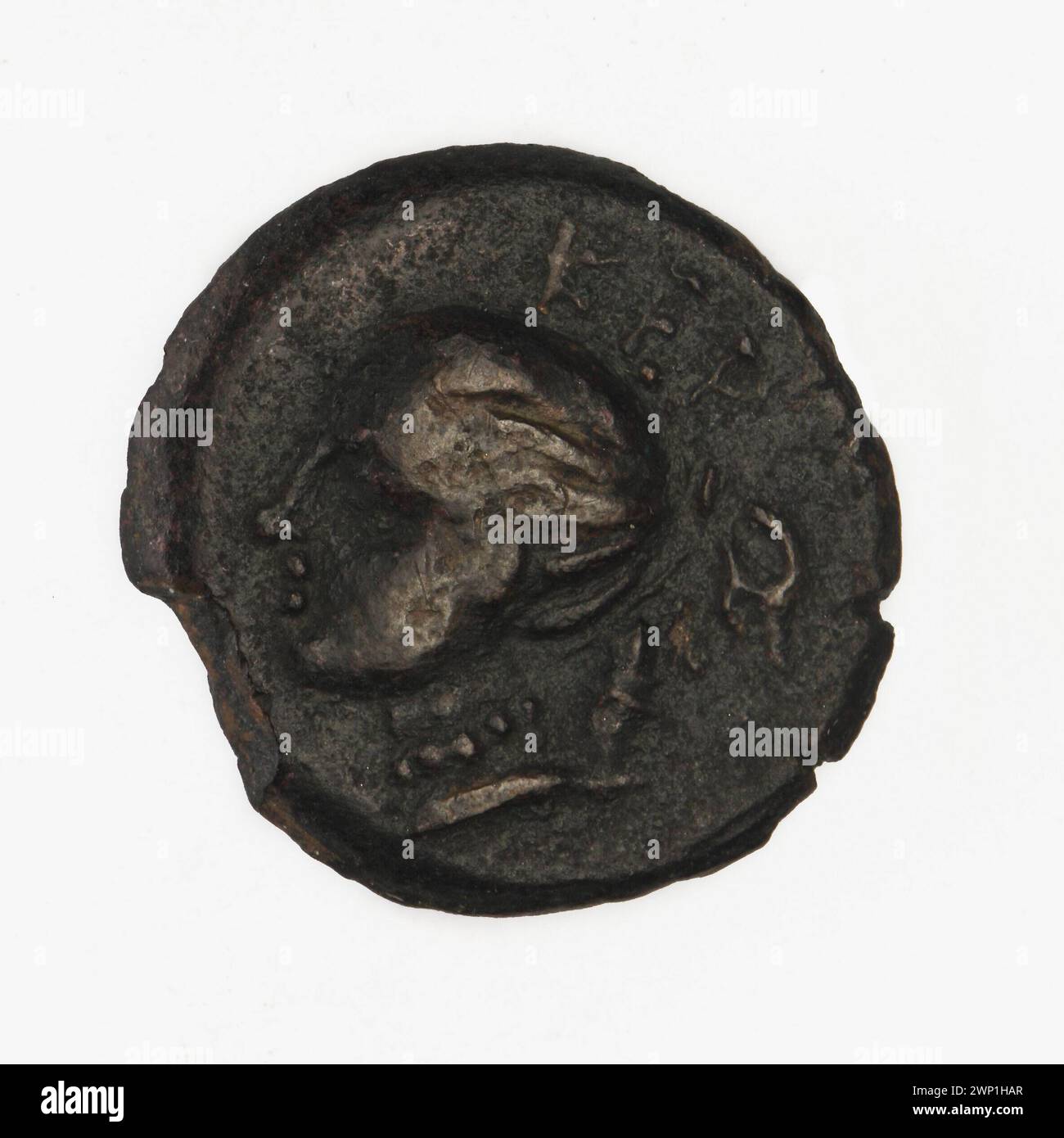 Brown coin; Kerkinitida; 300-290 BC (300-00-00-290-00-00);Artemis (Mitol.), Nadczarzyorze, Terlecki, Ignacy (1860-1916), Terlecki, Ignacy (1860-1916)-collection, deer, purchase (provenance), animals Stock Photo