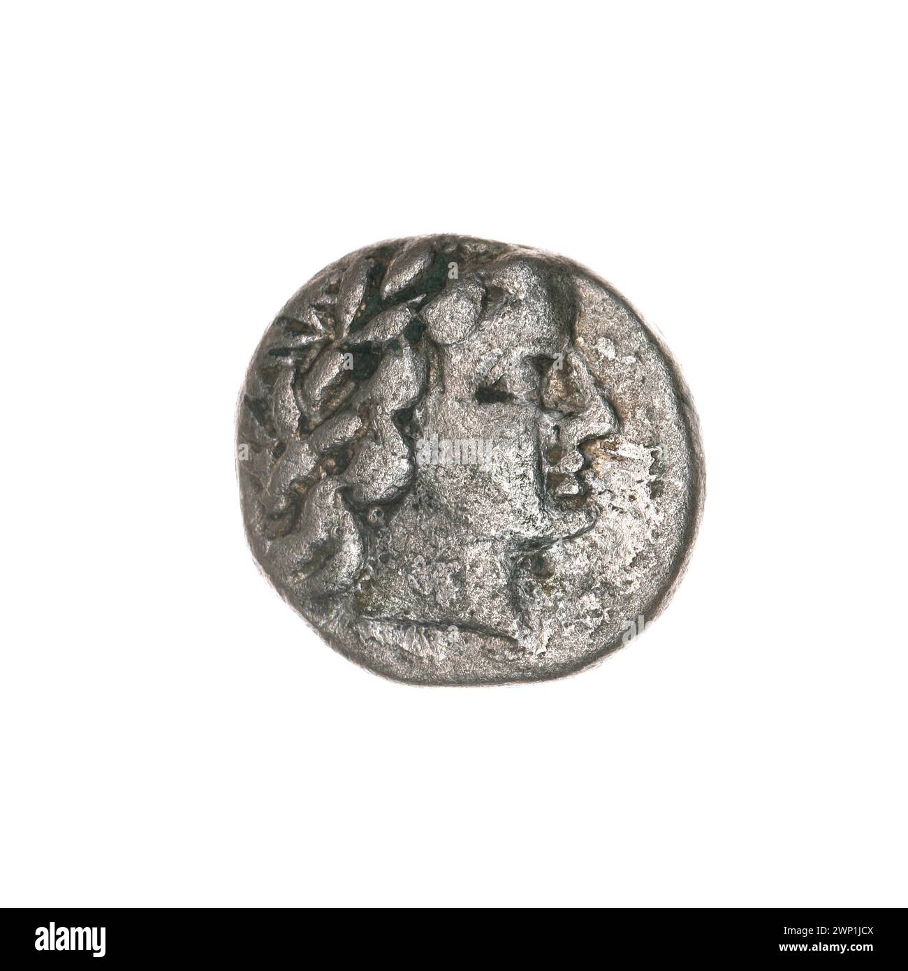 Documented plant Cut Out Stock Images & Pictures - Alamy