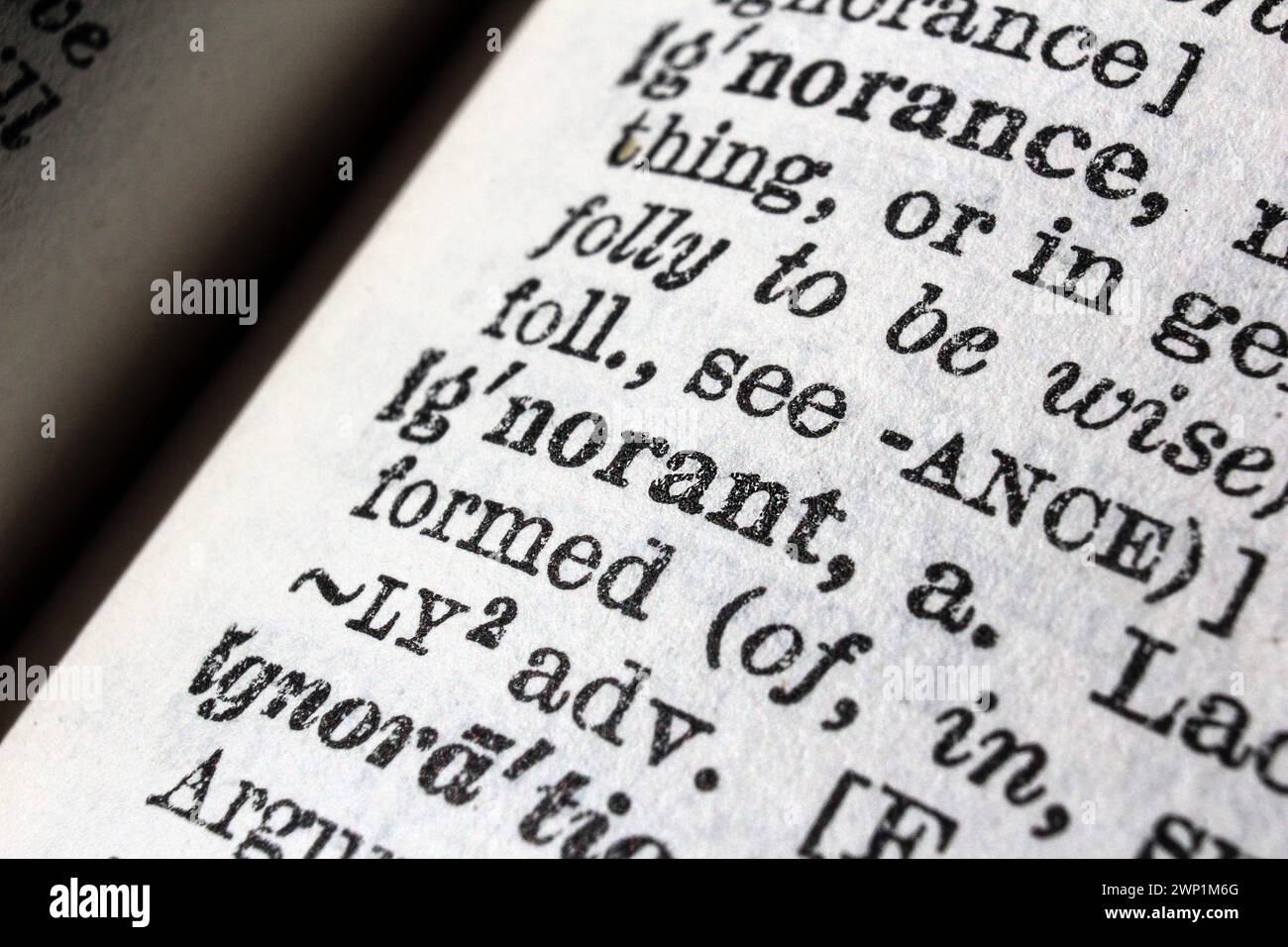 Word ignorant on dictionary page, macro close-up Stock Photo
