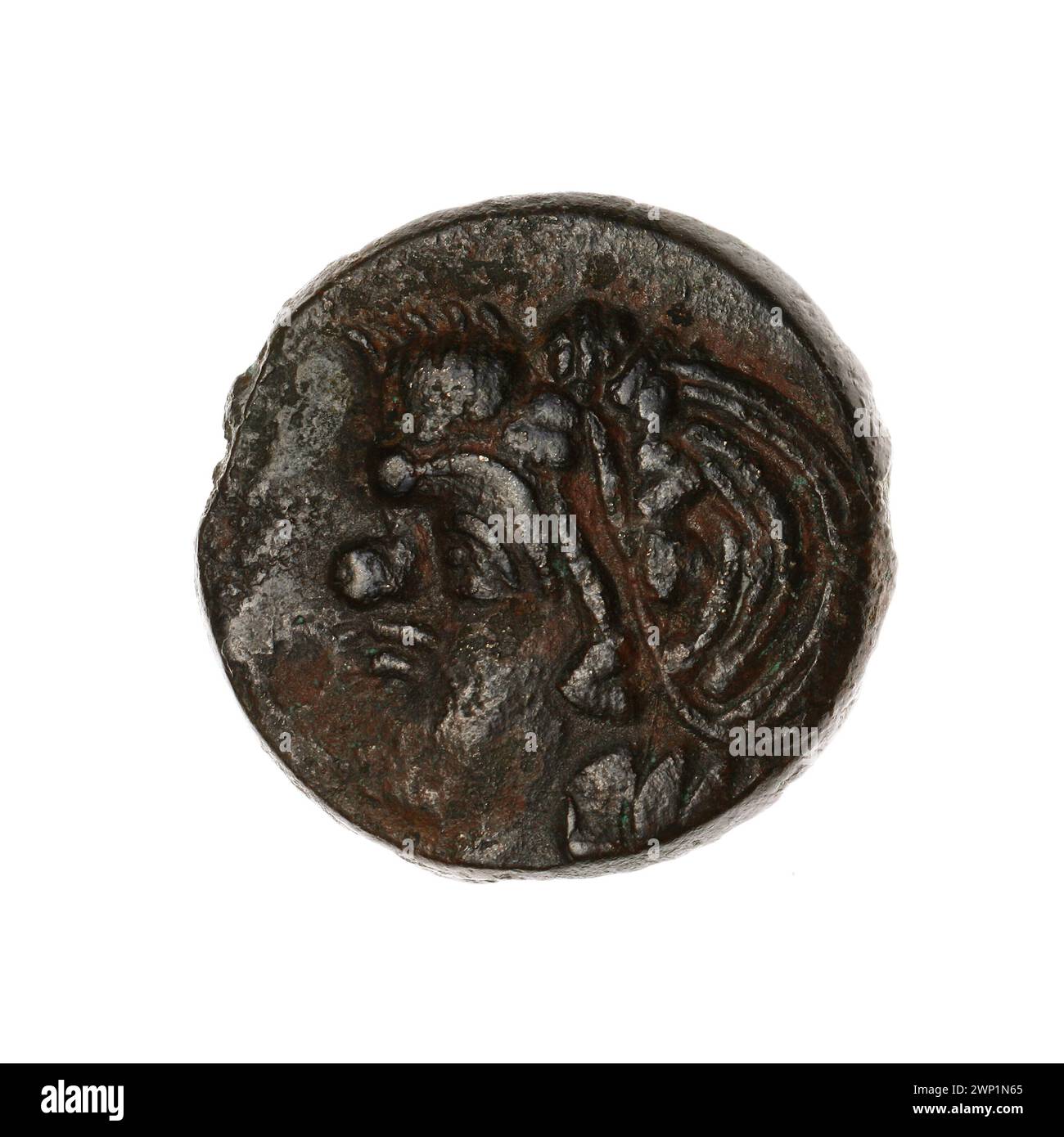 Brown coin; Pantikapaion; 315-300 BC (315-00-00-300-00-00);Nadczarzyorze, satir (mitol.), Lion's head (iconogr.), Jesiotry, lions, fish, purchase (provenance), animals Stock Photo