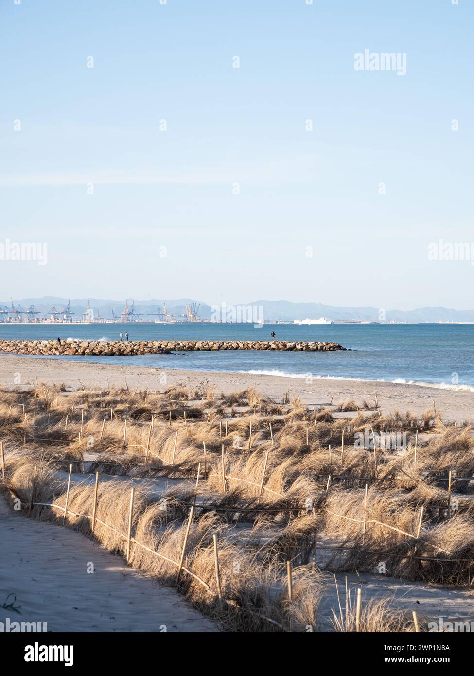 La Devesa del Saler beach in Valencia vertical shot Stock Photo