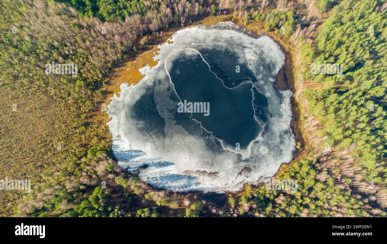 Aerial view of the lake in Lithuanian forests, winter, wild nature. Name of the lake 'Grauzeris', Trakai district, Europe. Stock Photo