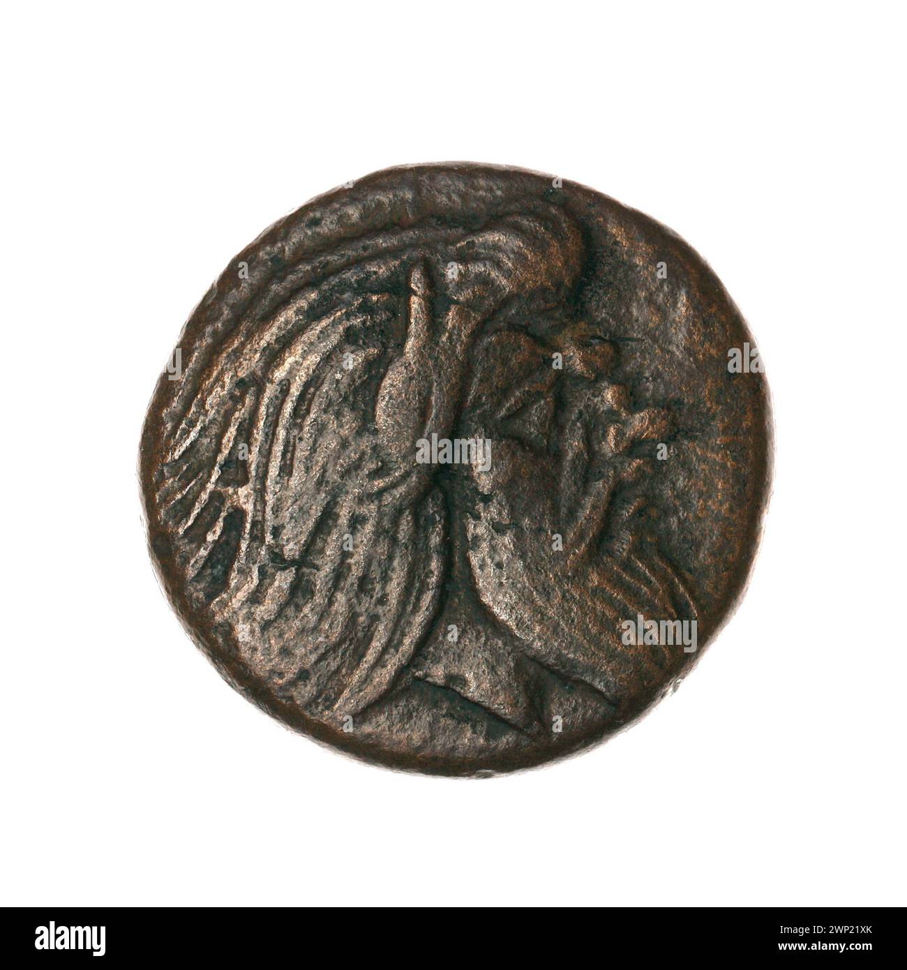 Brown coin; Pantikapaion; 330-315 BC (330-00-00-315-00-00);Nadczarzyorze, satir (mitol.), Gryfy, sturgeons, Protoma Gryf (iconogr.), Fish Stock Photo