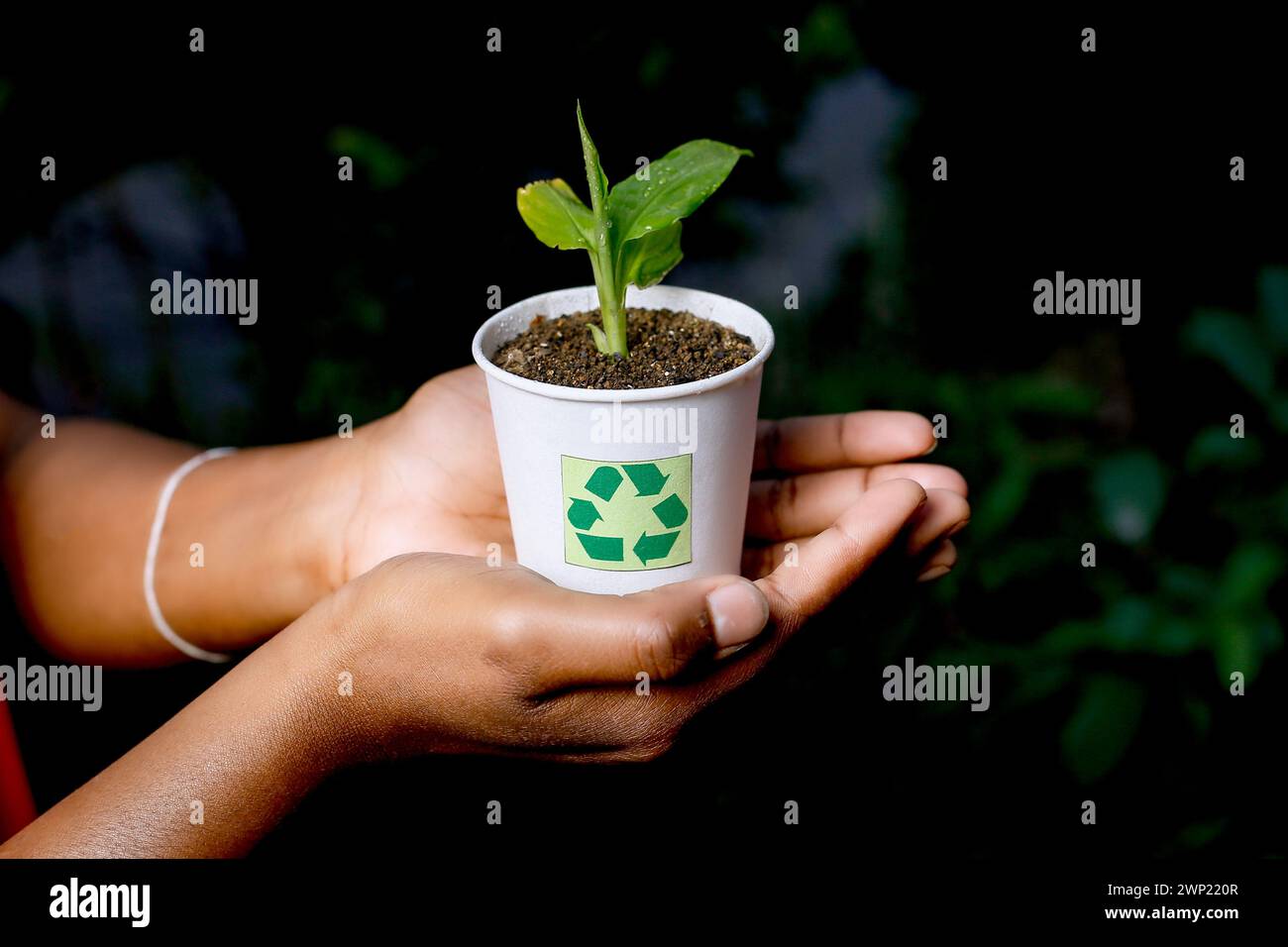 the women handling recycle and composted plant in waste cup Stock Photo