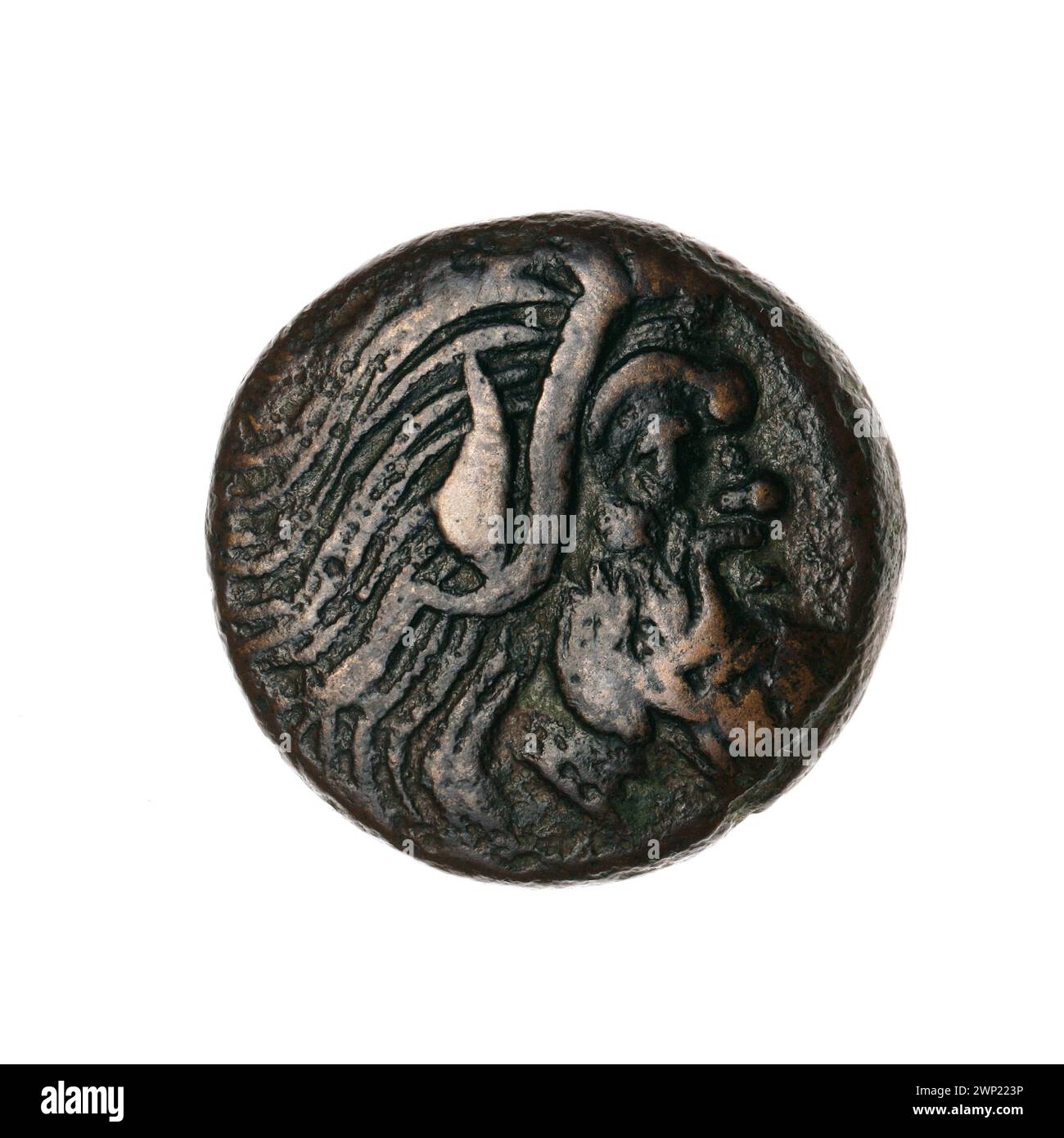 Brown coin; Pantikapaion; 330-315 BC (330-00-00-315-00-00);Nadczarzyorze, satir (mitol.), Gryfy, sturgeons, Gryf's Protoma (iconogr.), Transfer (provenance), fish Stock Photo