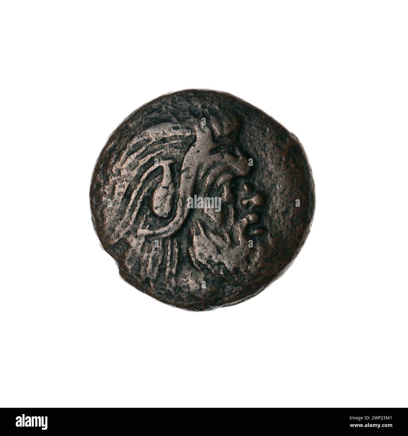Brown coin; Pantikapaion; 330-315 BC (330-00-00-315-00-00);Nadczarzyorze, satir (mitol.), Gryfy, sturgeons, Protoma Gryf (iconogr.), Fish Stock Photo