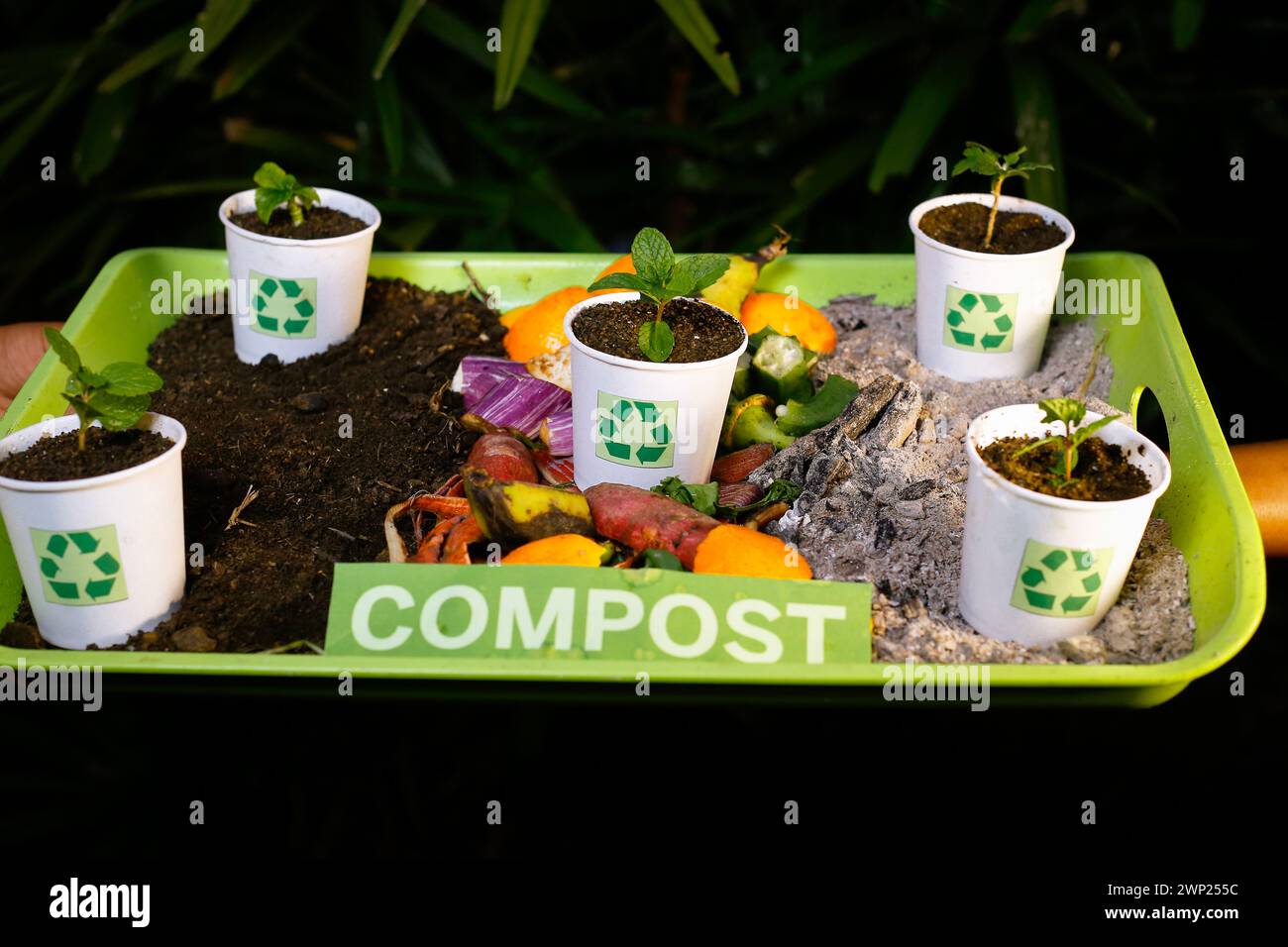 composted soil recycle on waste paper cups and waste vegetables Stock