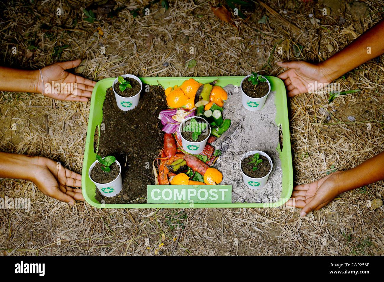 composted soil recycle on waste paper cups and waste vegetables Stock