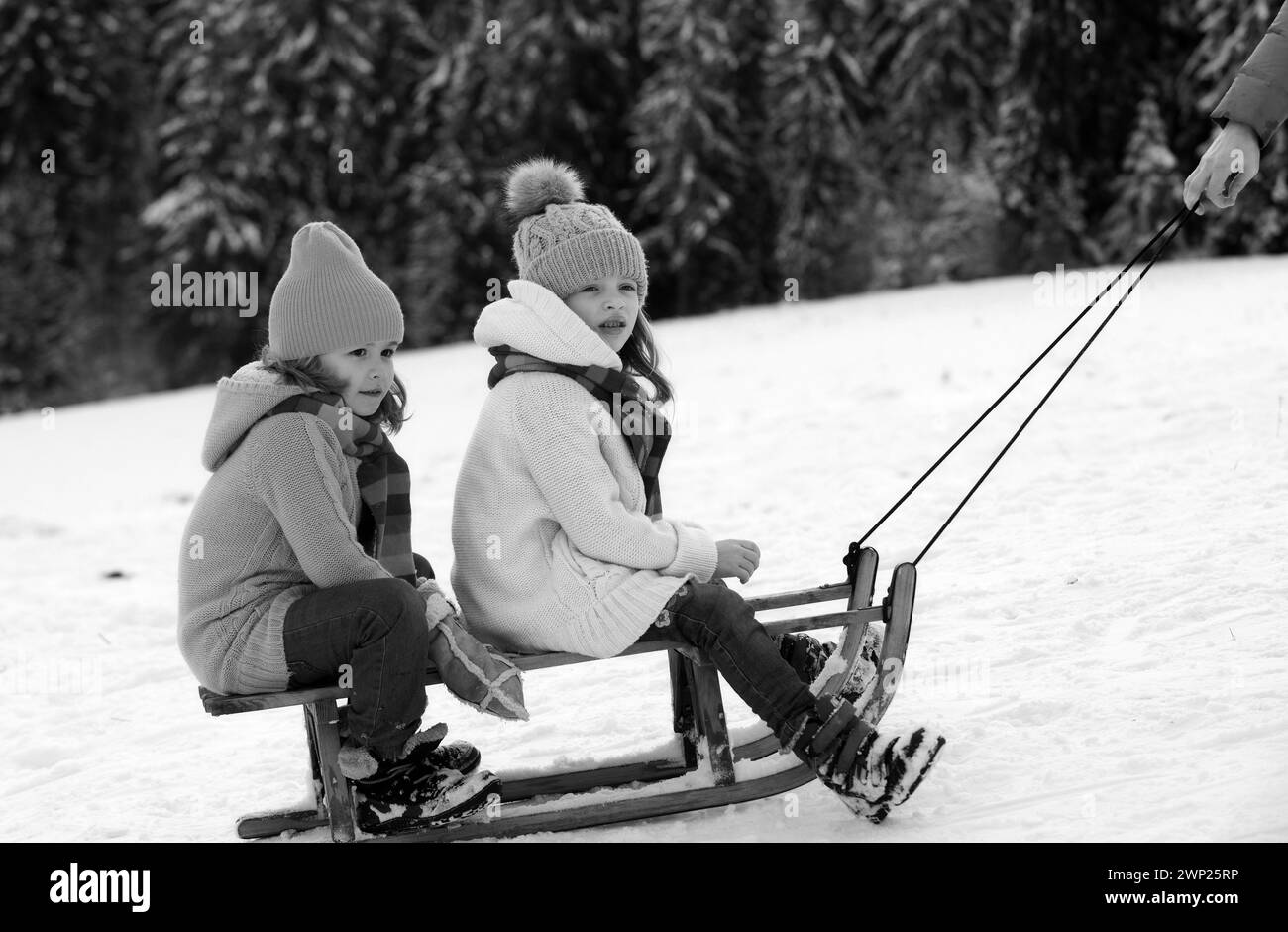 Children on sleigh. Kids boy and girl plays outside in the snow. Winter, holiday and Christmas time. Family christmas holiday outdoor. Stock Photo