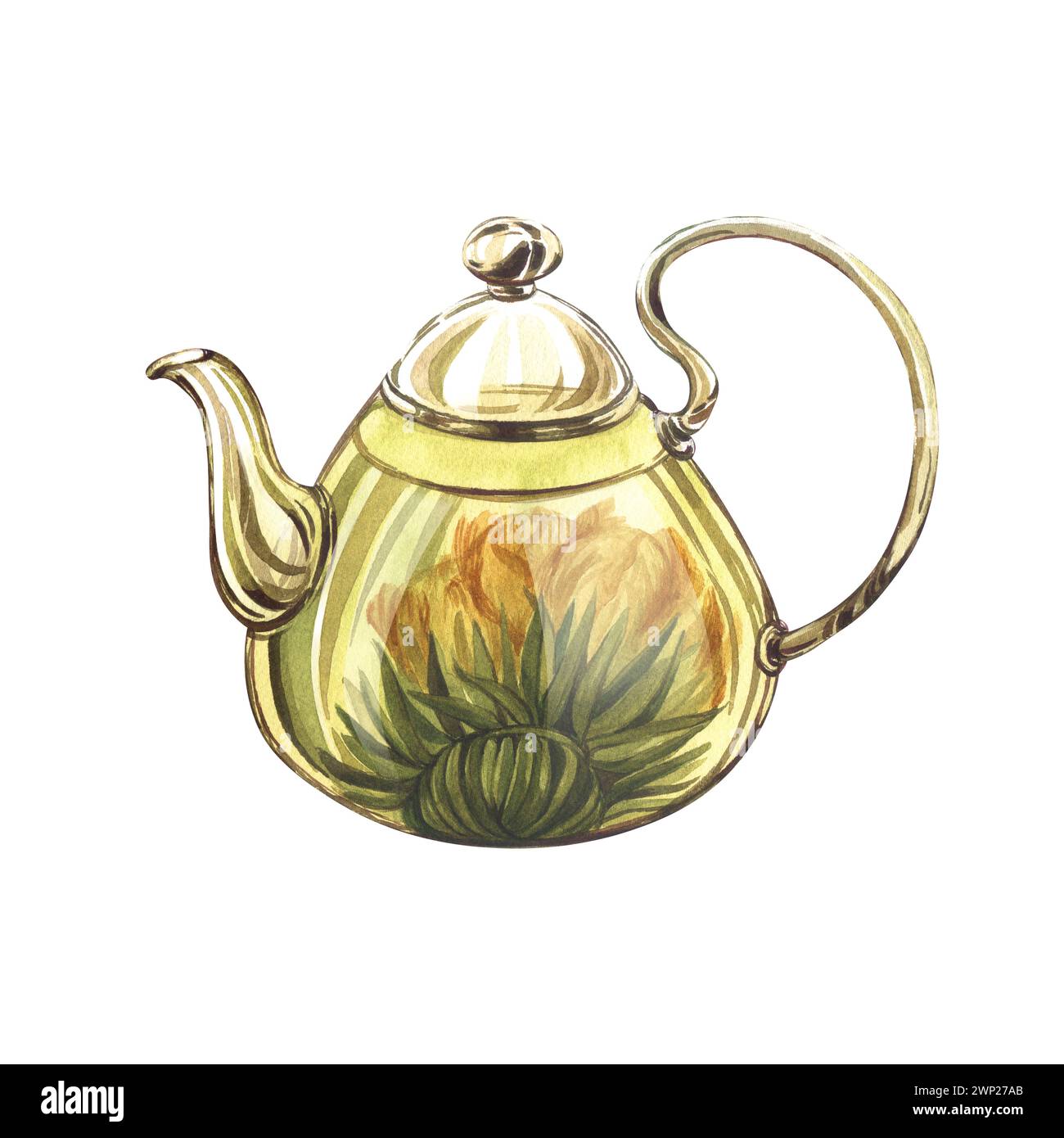 Chinese teapot with infuser and flowering tea. Watercolor handdrawn