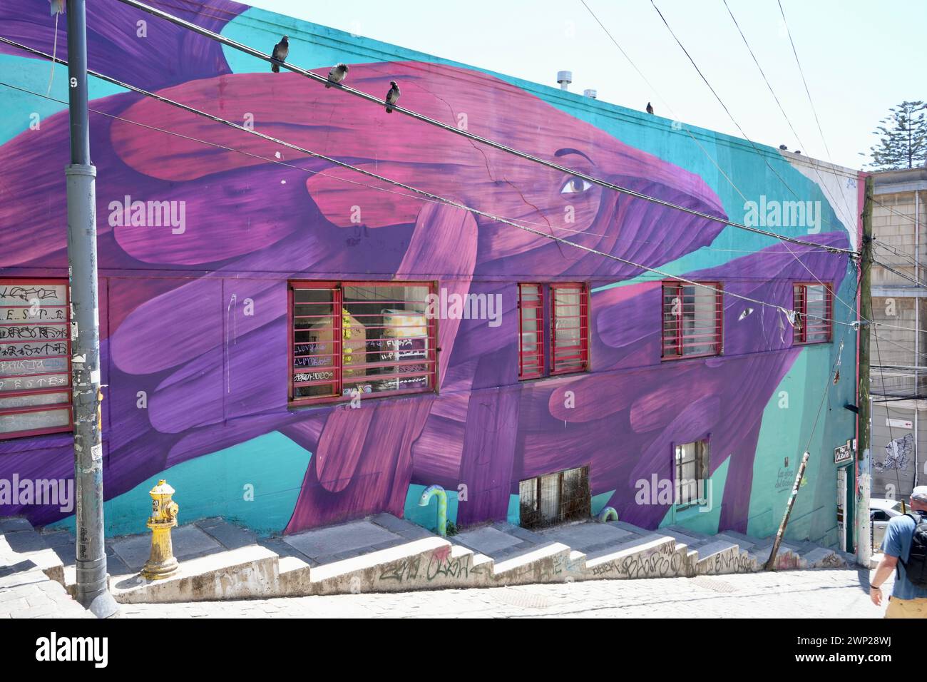 Bright and Colorful whale artwork on buildings. Stock Photo